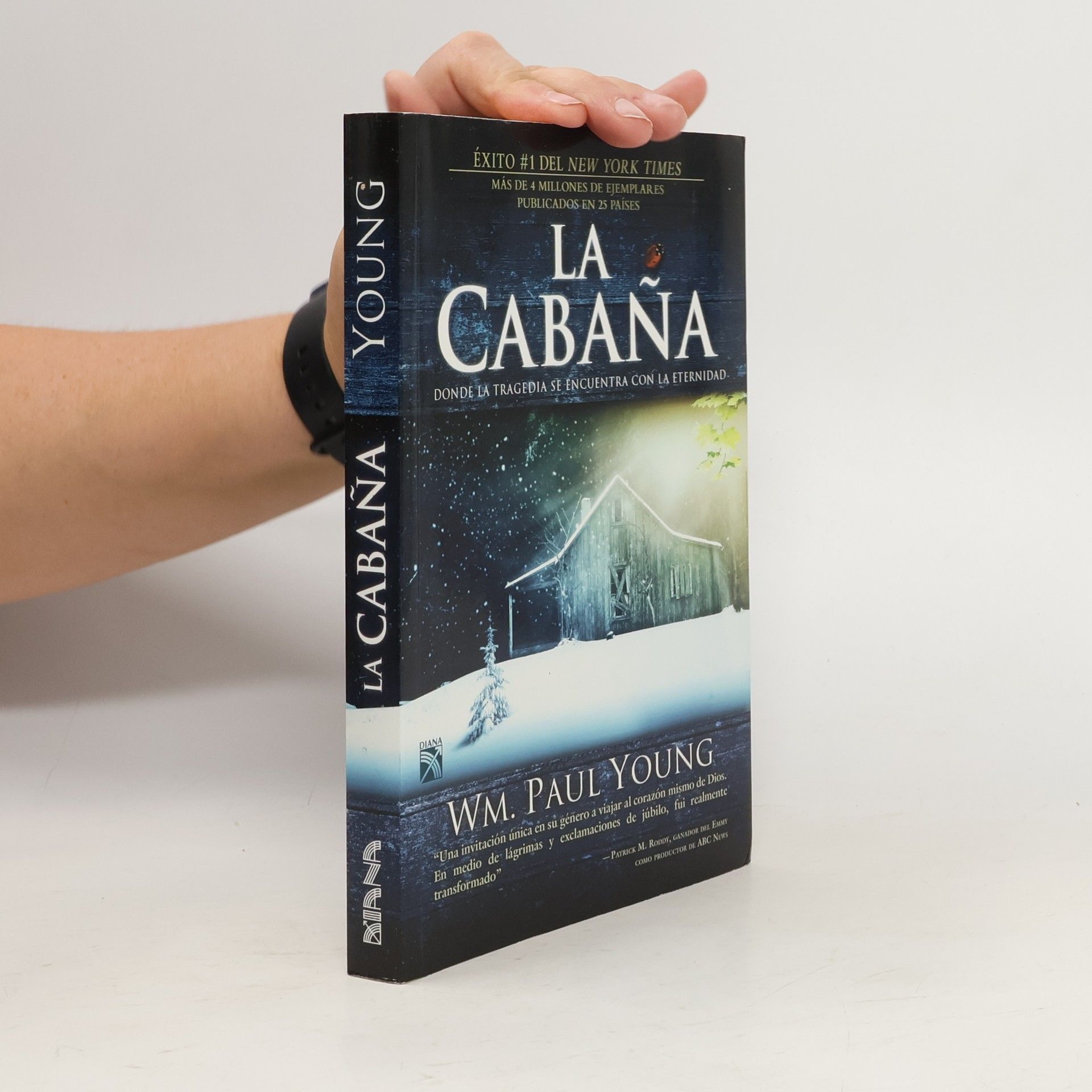 William P. Young La Cabaña