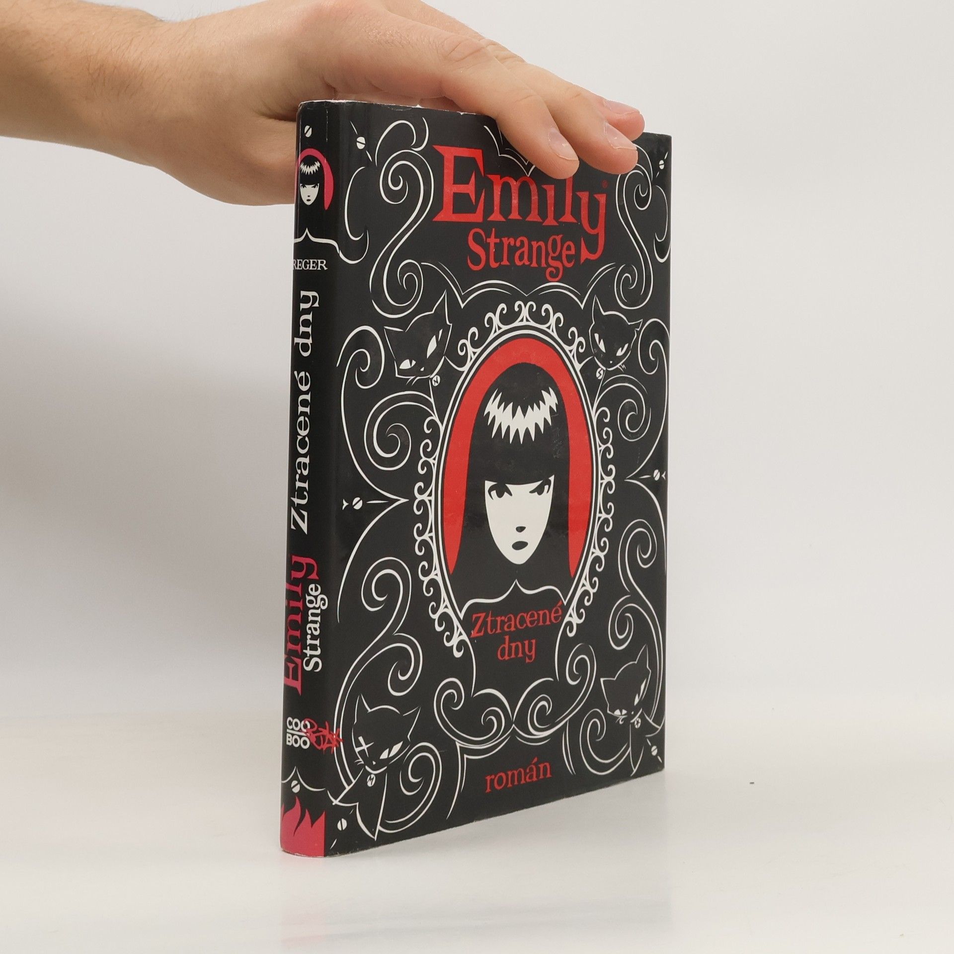 Robert Reger Emily Strange. Ztracené dny