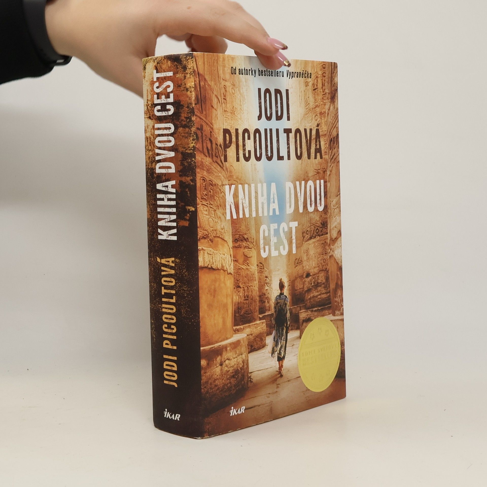 Jodi Picoult Kniha dvou cest