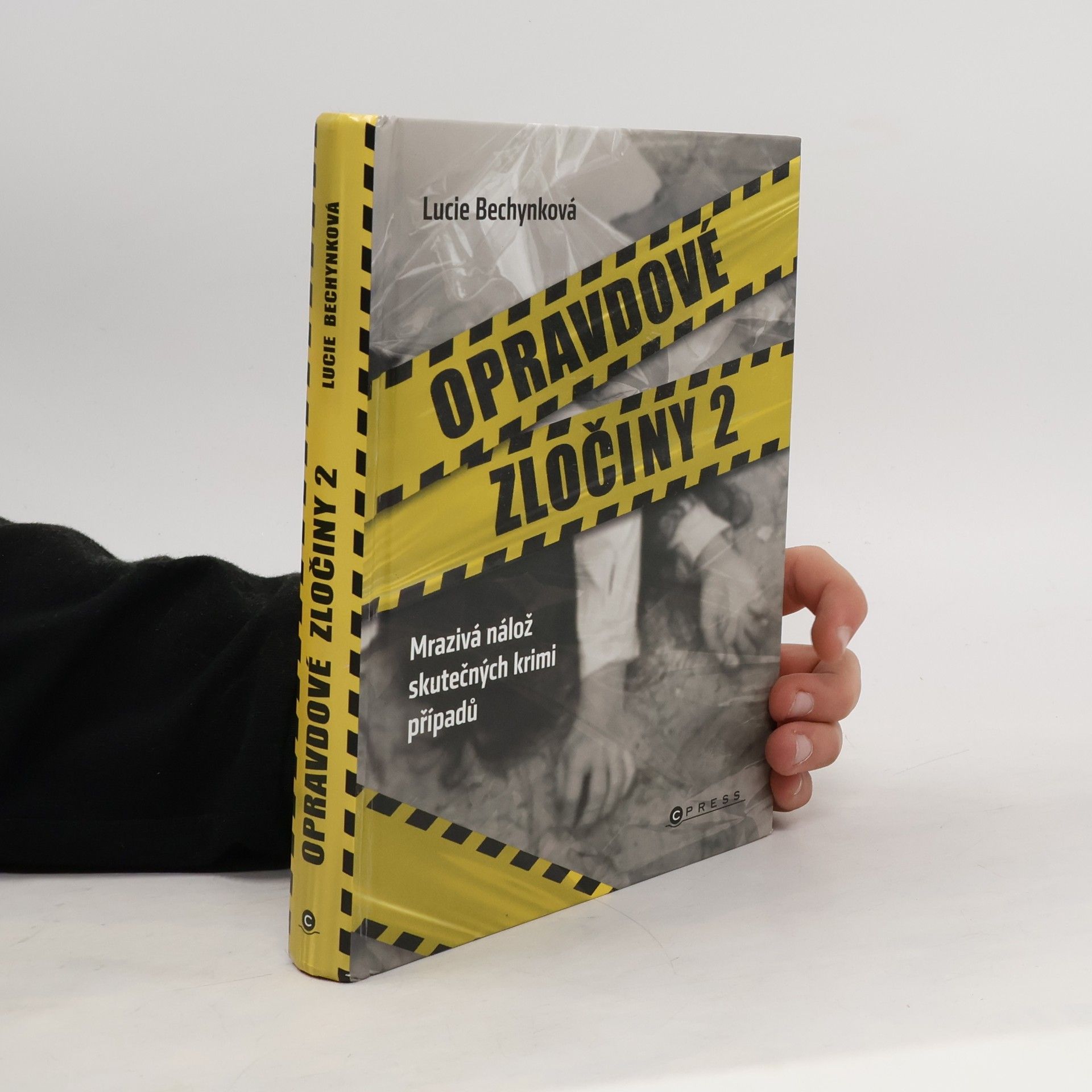 Opravdové zločiny 2