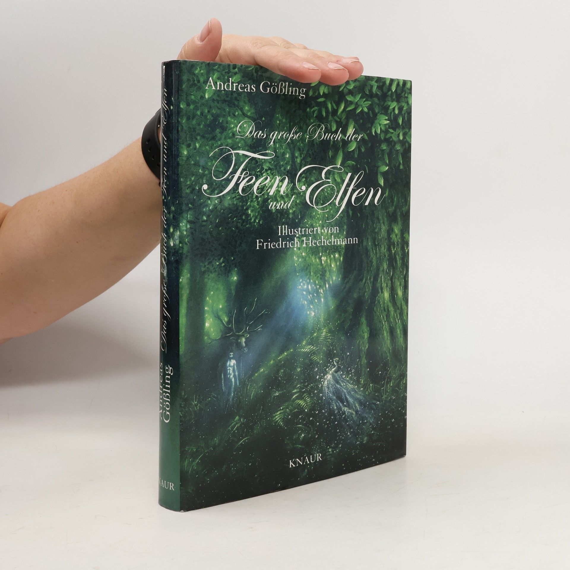 Andreas Gößling Das große Buch der Feen und Elfen