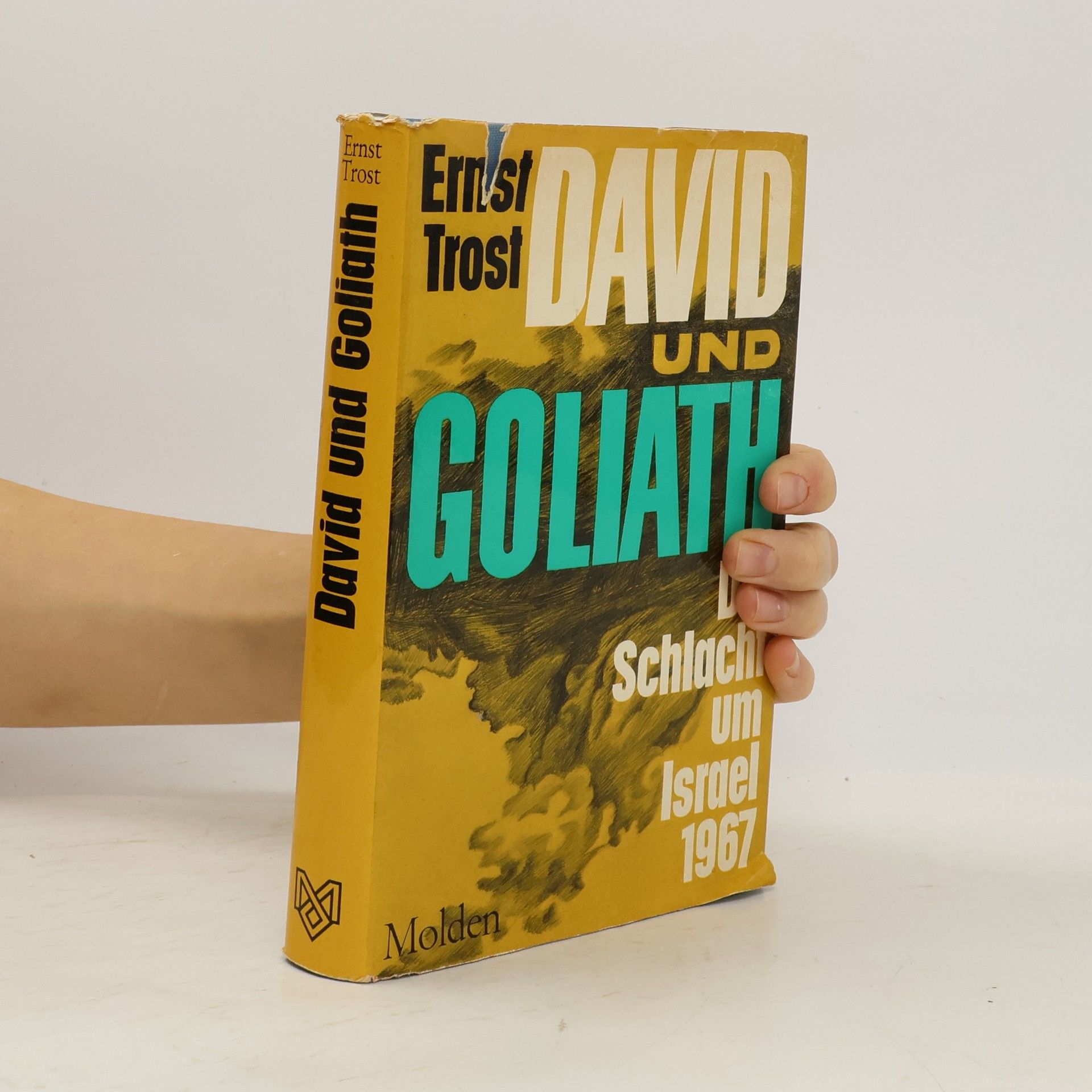 David und Goliath. Die Schlacht um Israel 1967