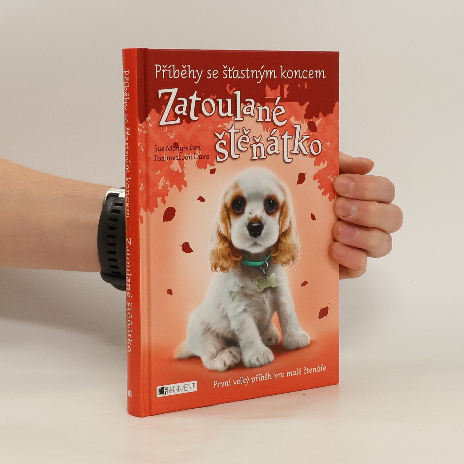 Jon Davis Zatoulané štěňátko