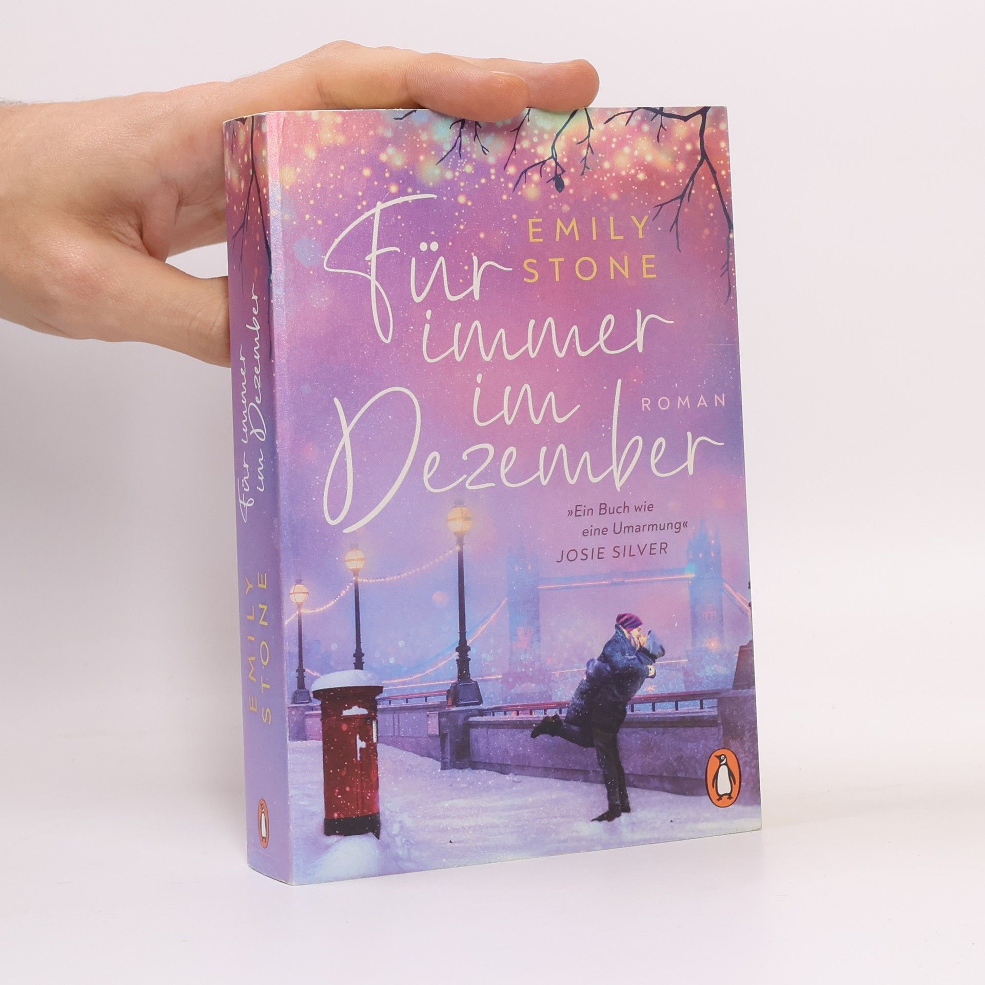 Stone Emily Für immer im Dezember