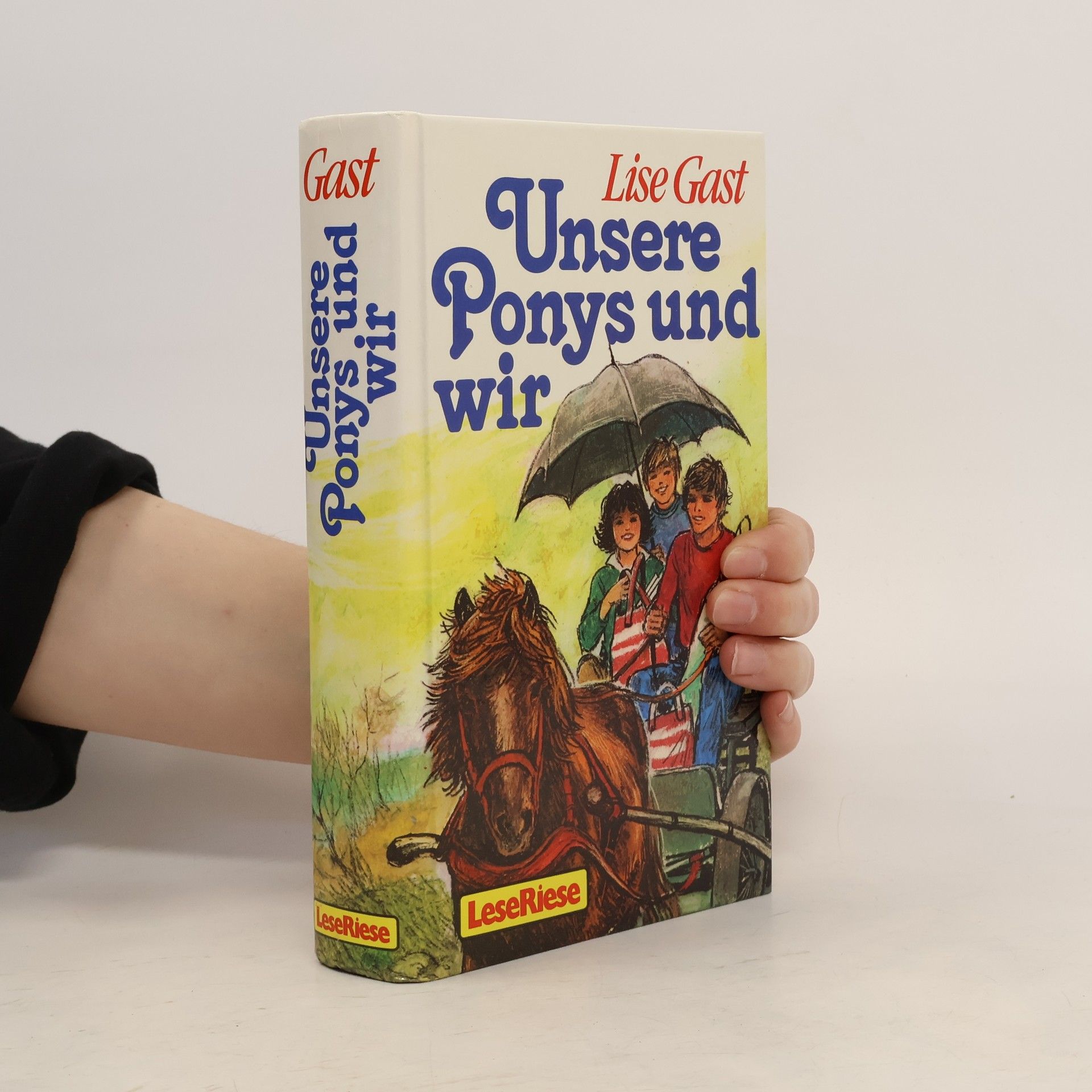 Lise Gast Unsere Ponys und wir