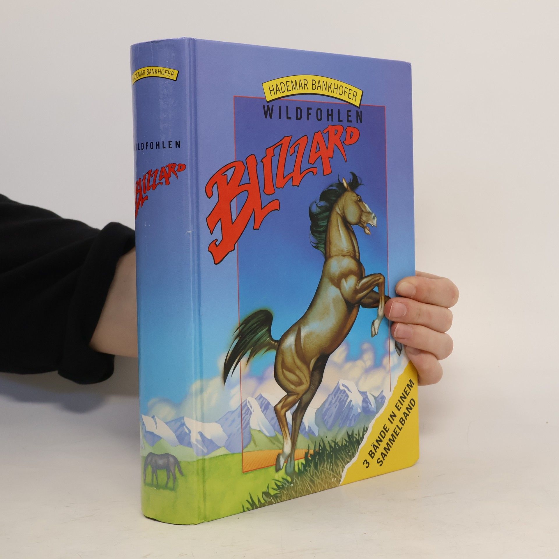 Hademar Bankhofer Wildfohlen Blizzard