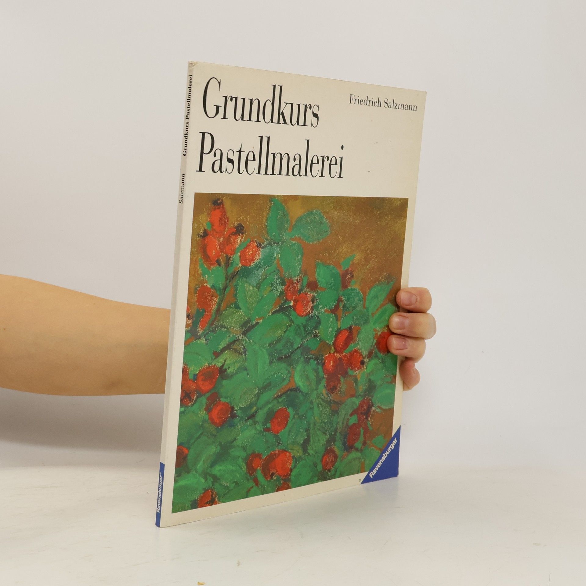 Friedrich Salzmann Grundkurs Pastellmalerei