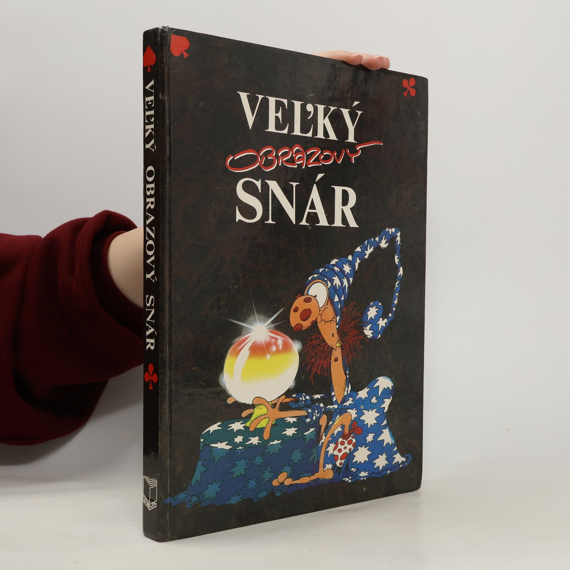 Kolektiv autorů Veľký obrazový snár