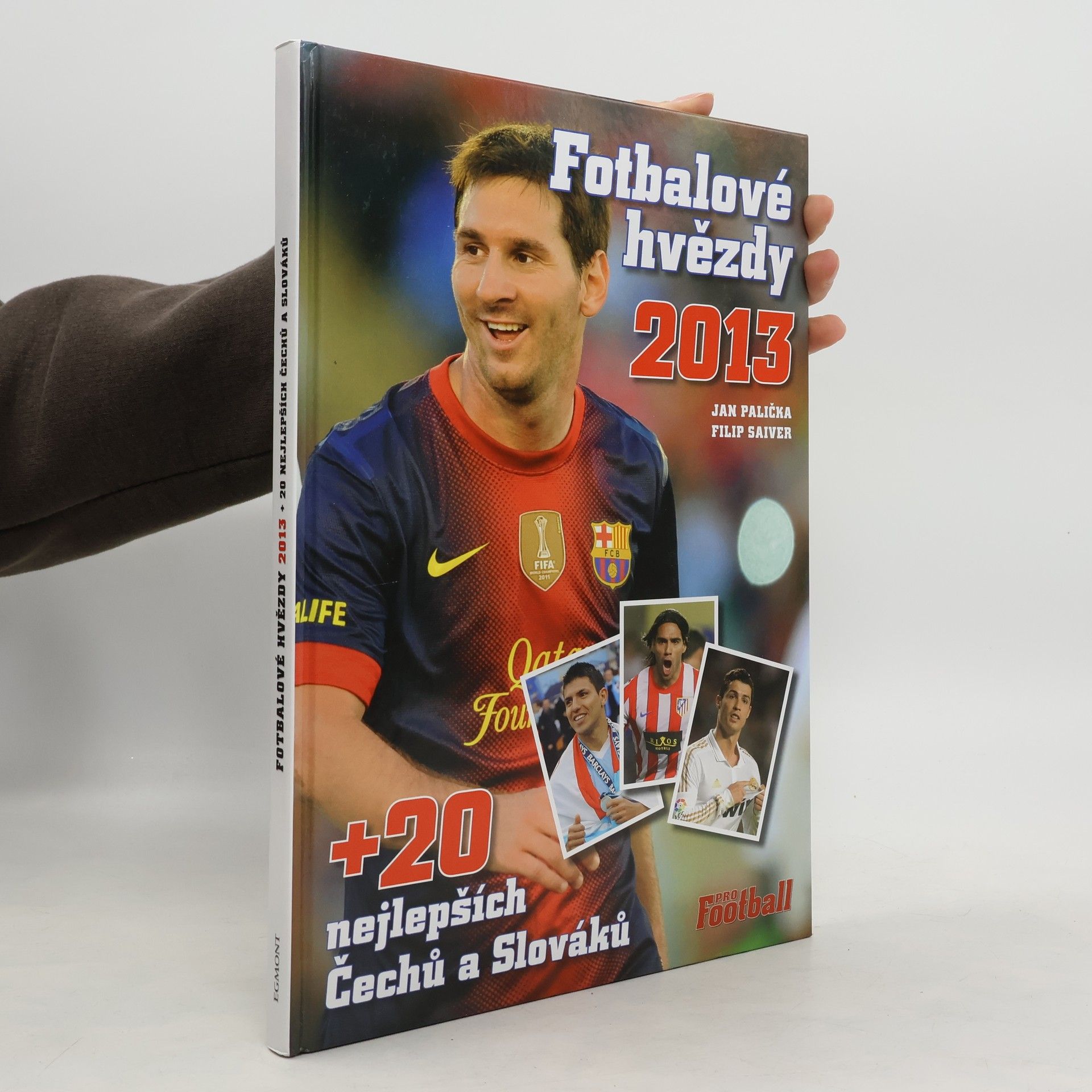 Fotbalové hvězdy 2013