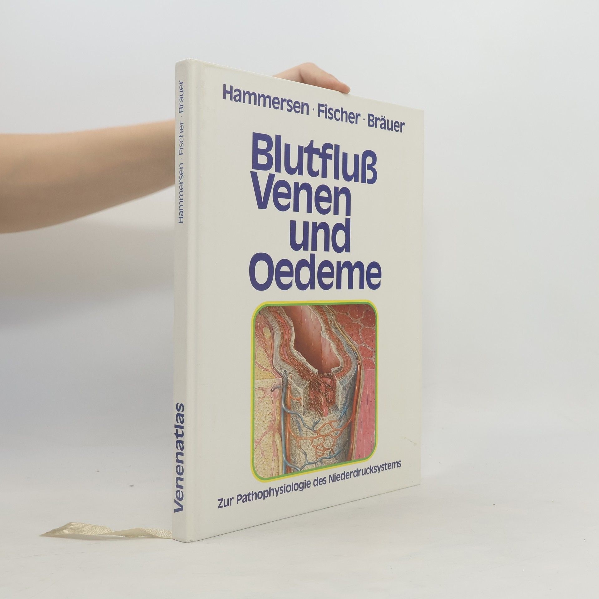 Blutfluss, Venen und Oedeme