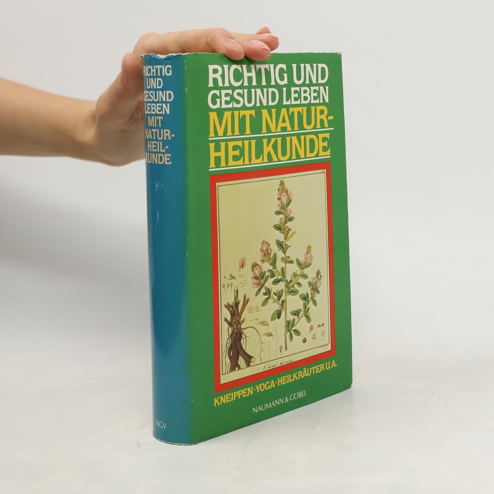 Kolektiv autorů Richtig und gesund leben mit Naturheilkunde