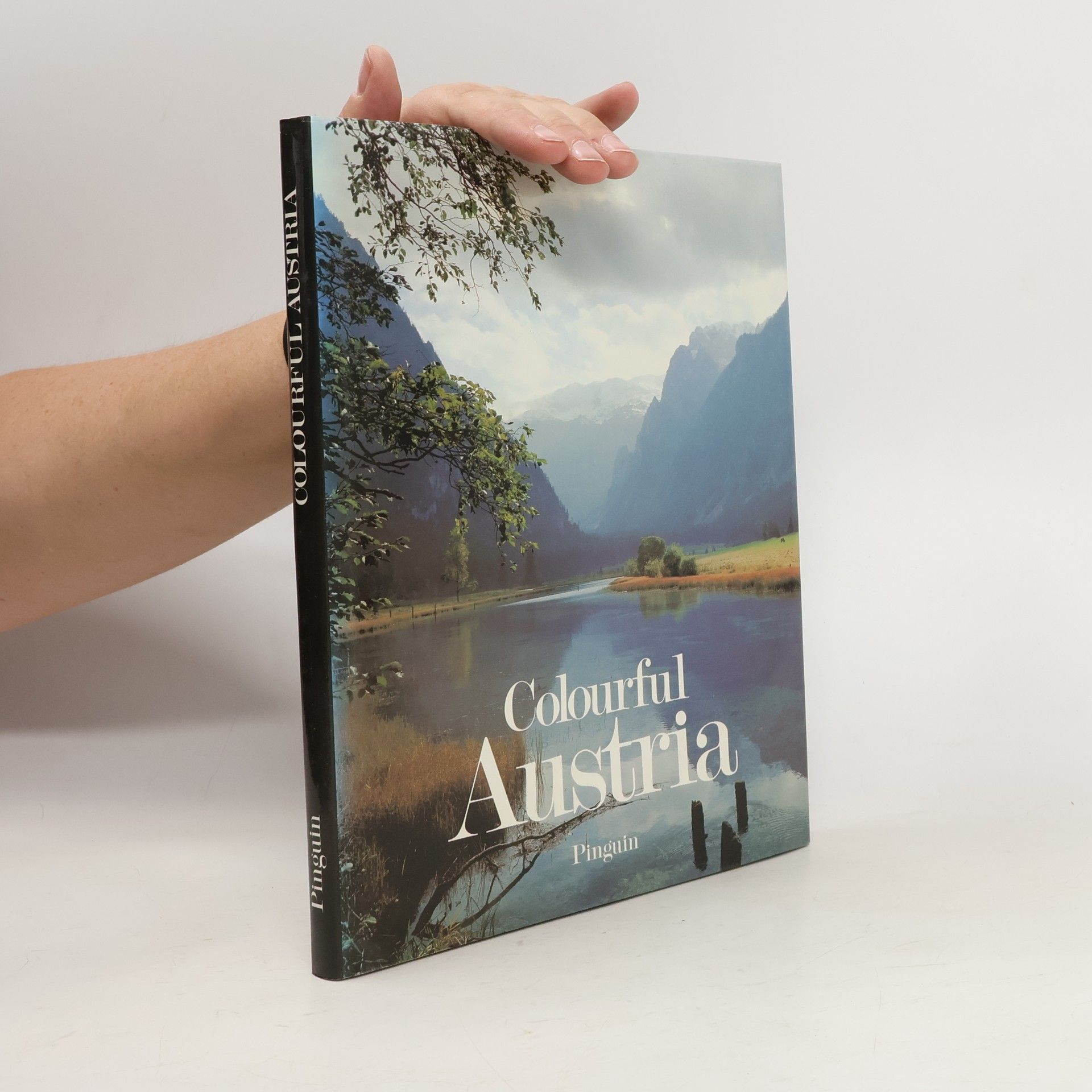 Heinz Scheibenpflug Colourful Austria