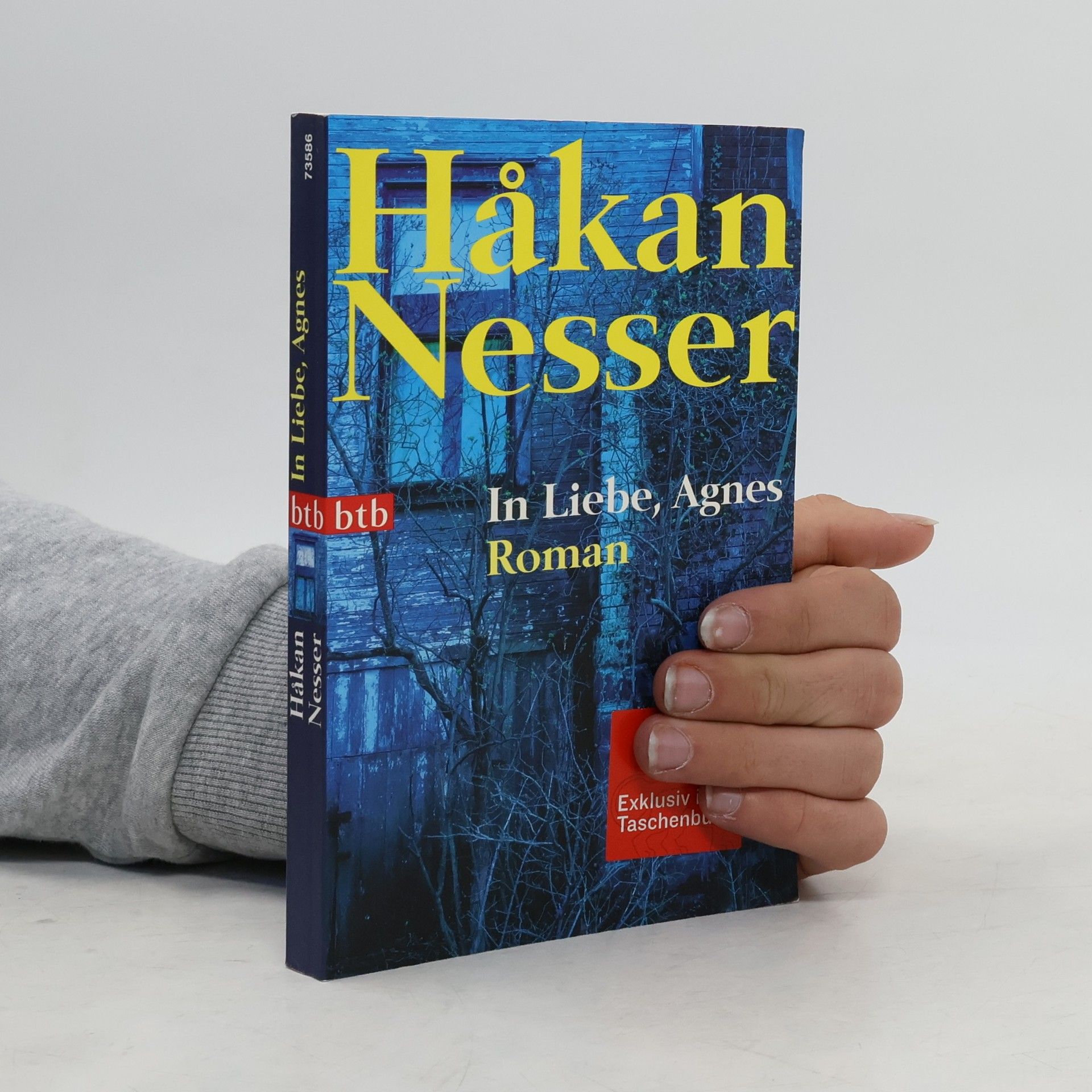 Håkan Nesser In Liebe, Agnes