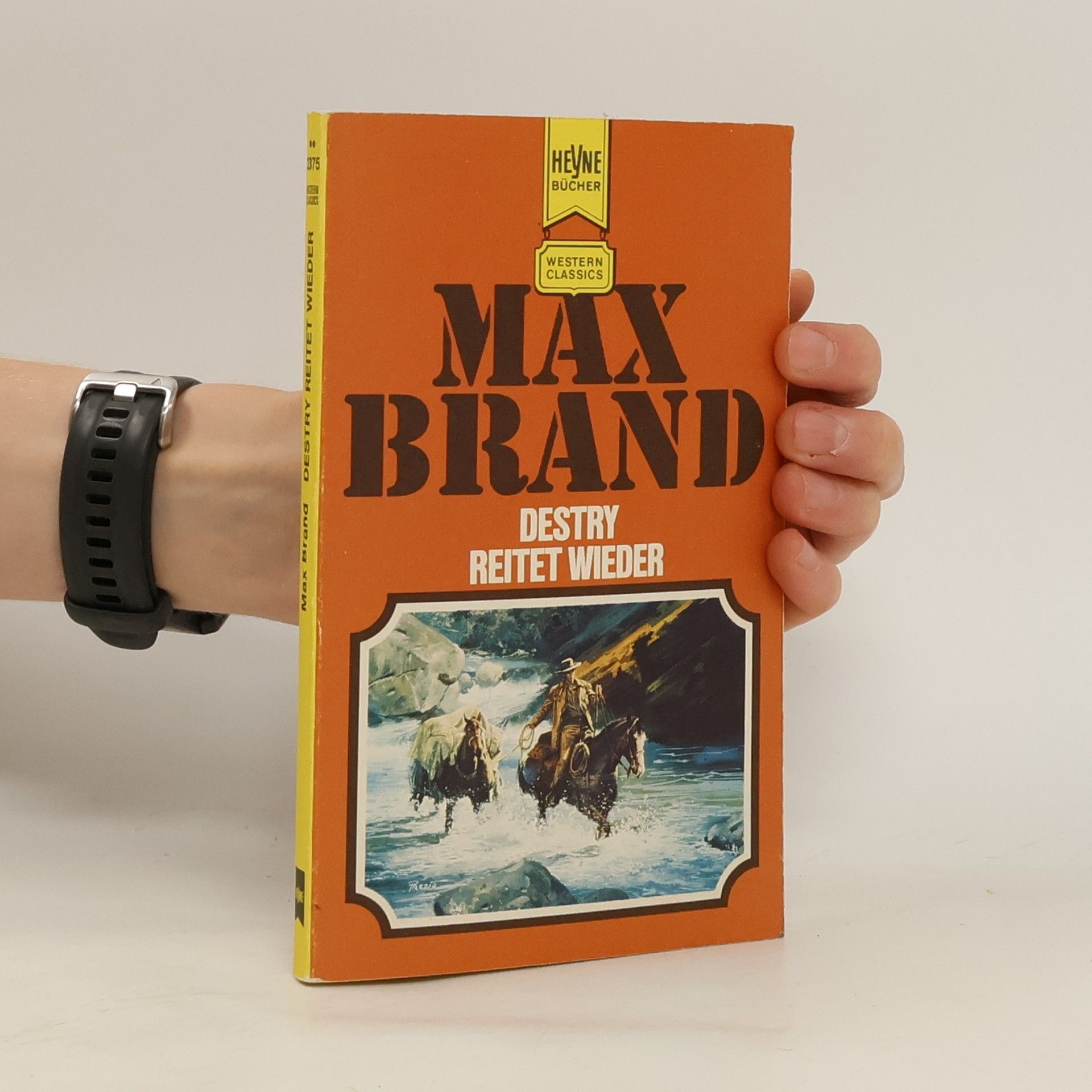 Max Brand Destry reitet wieder