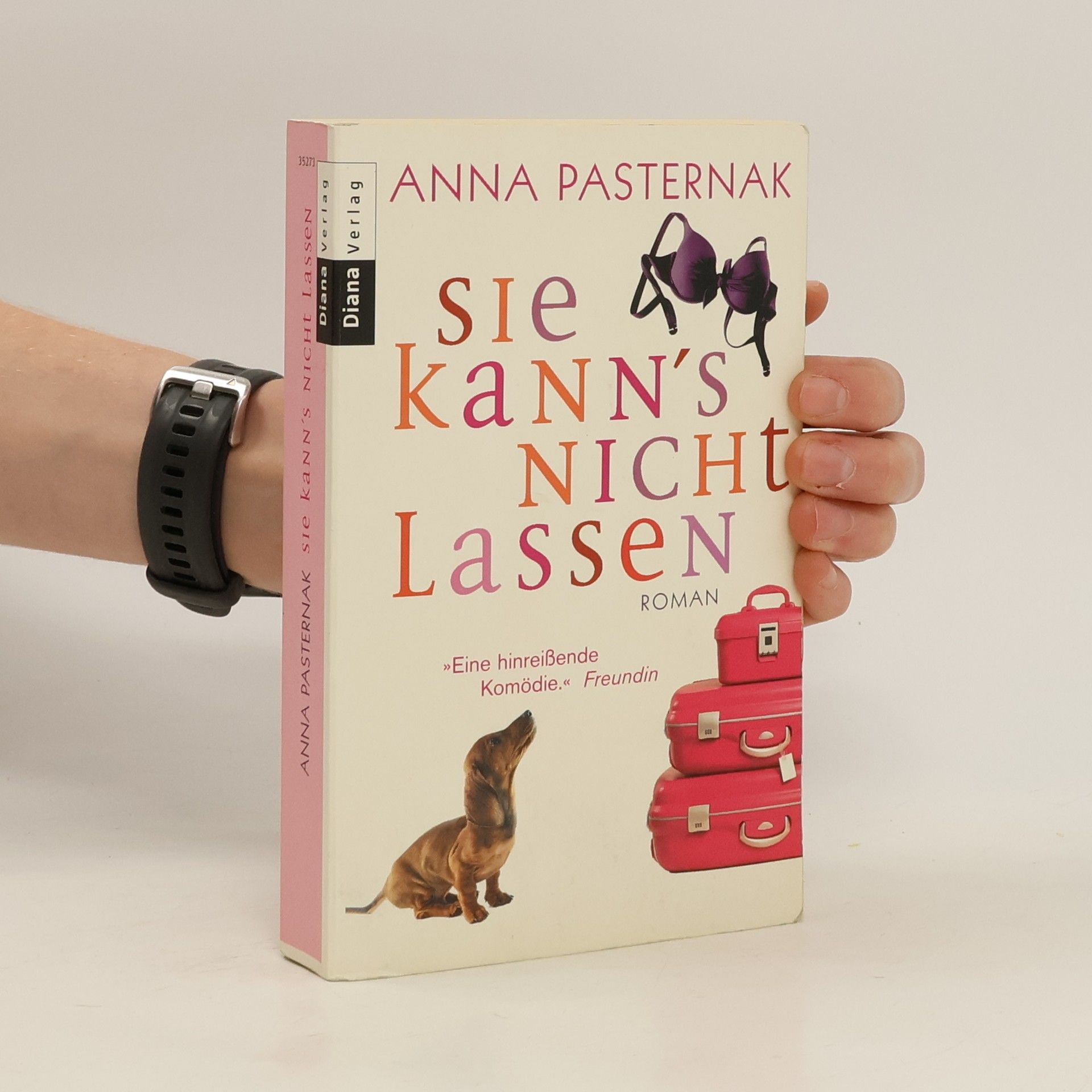 Anna Pasternak Sie kann's nicht lassen. Roman