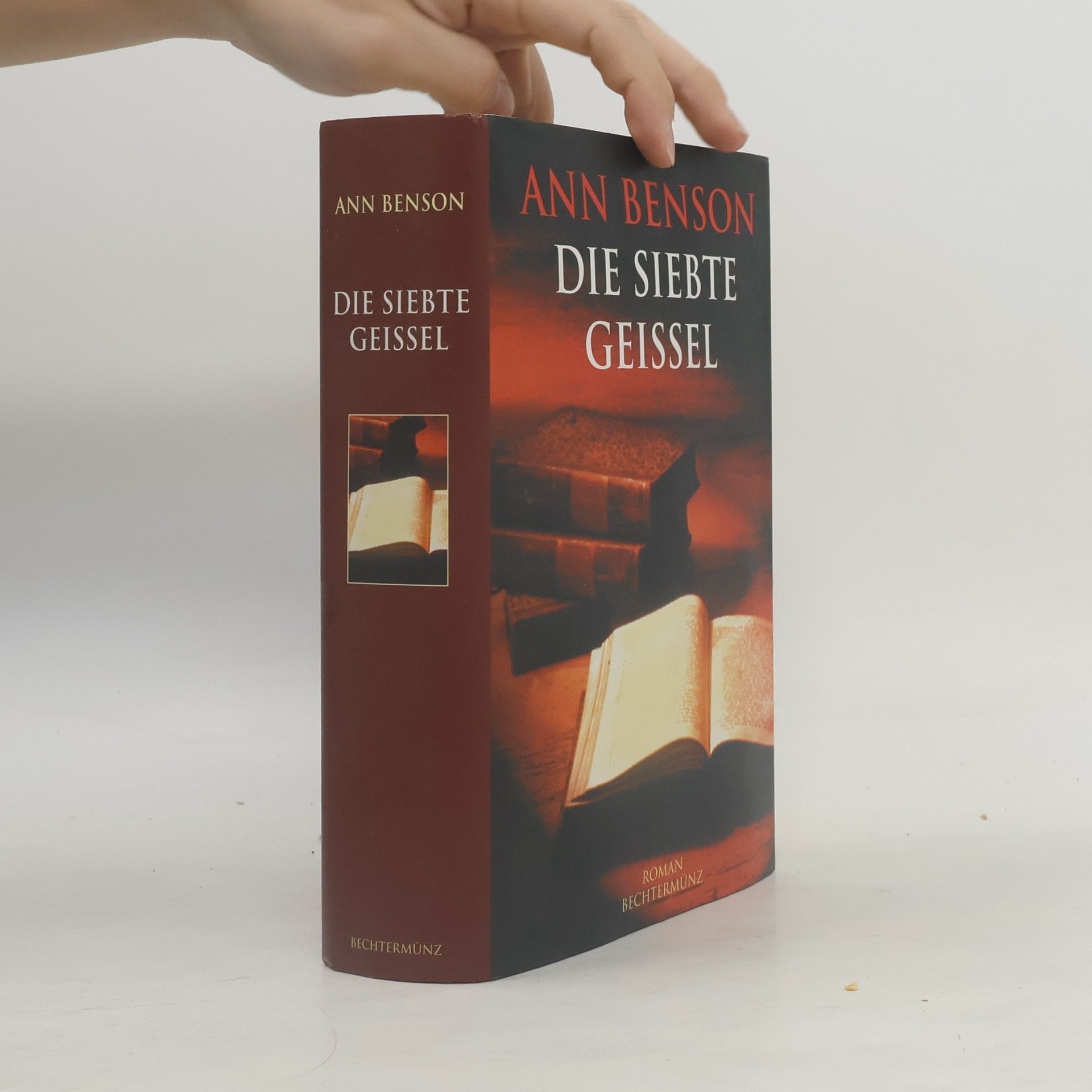 Ann Benson Die siebte Geissel