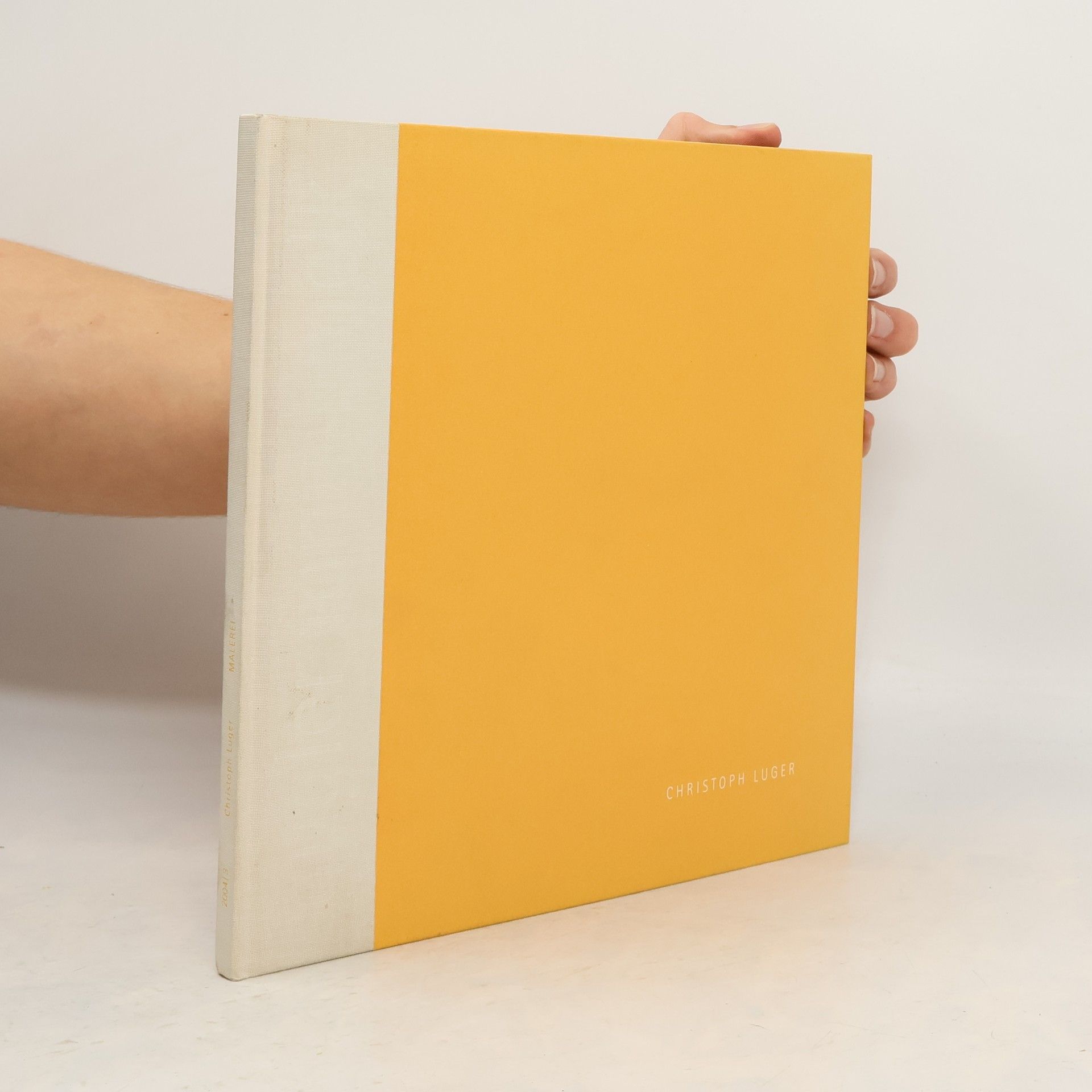 Christoph Luger Christoph Luger, Malerei