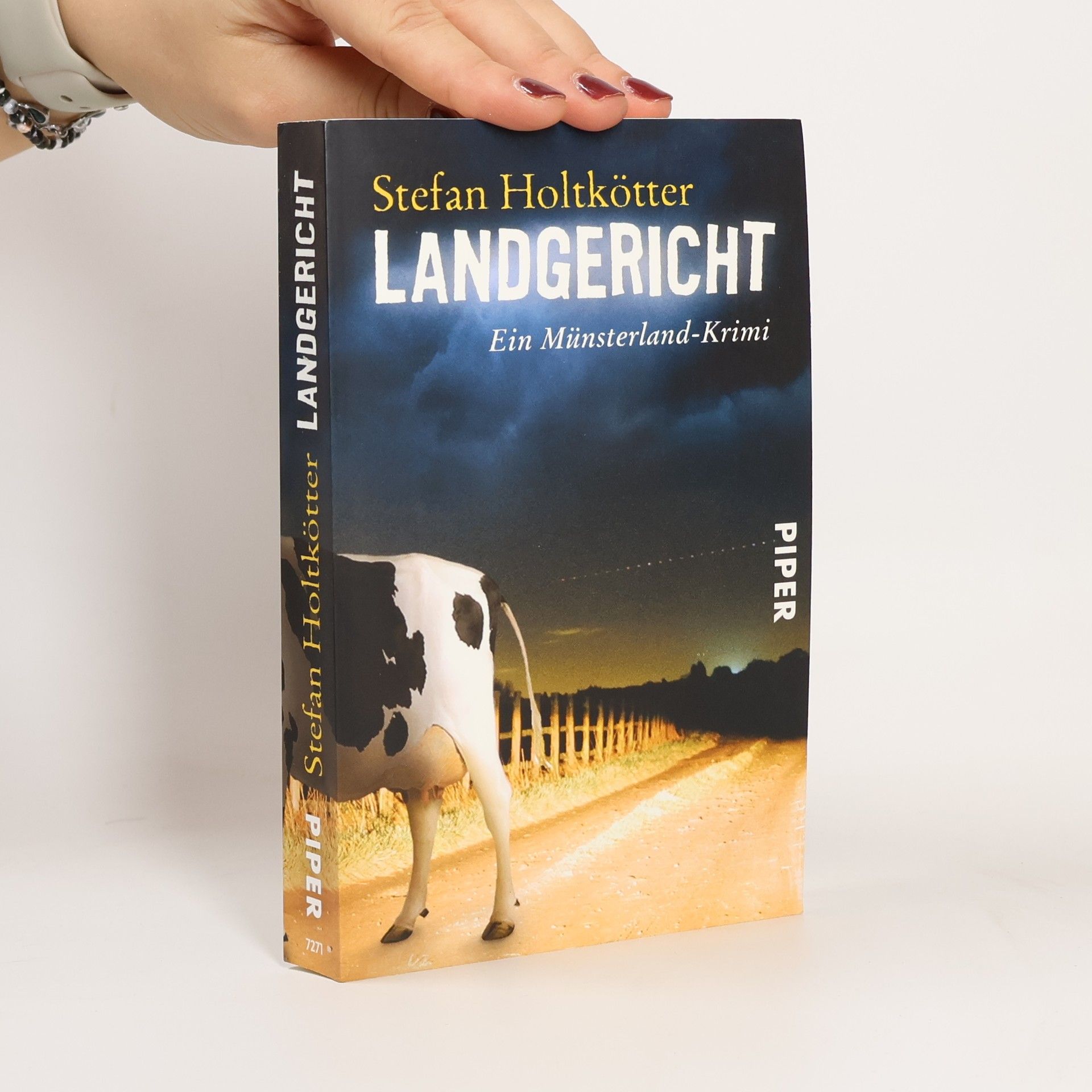 Stefan Holtkötter Landgericht