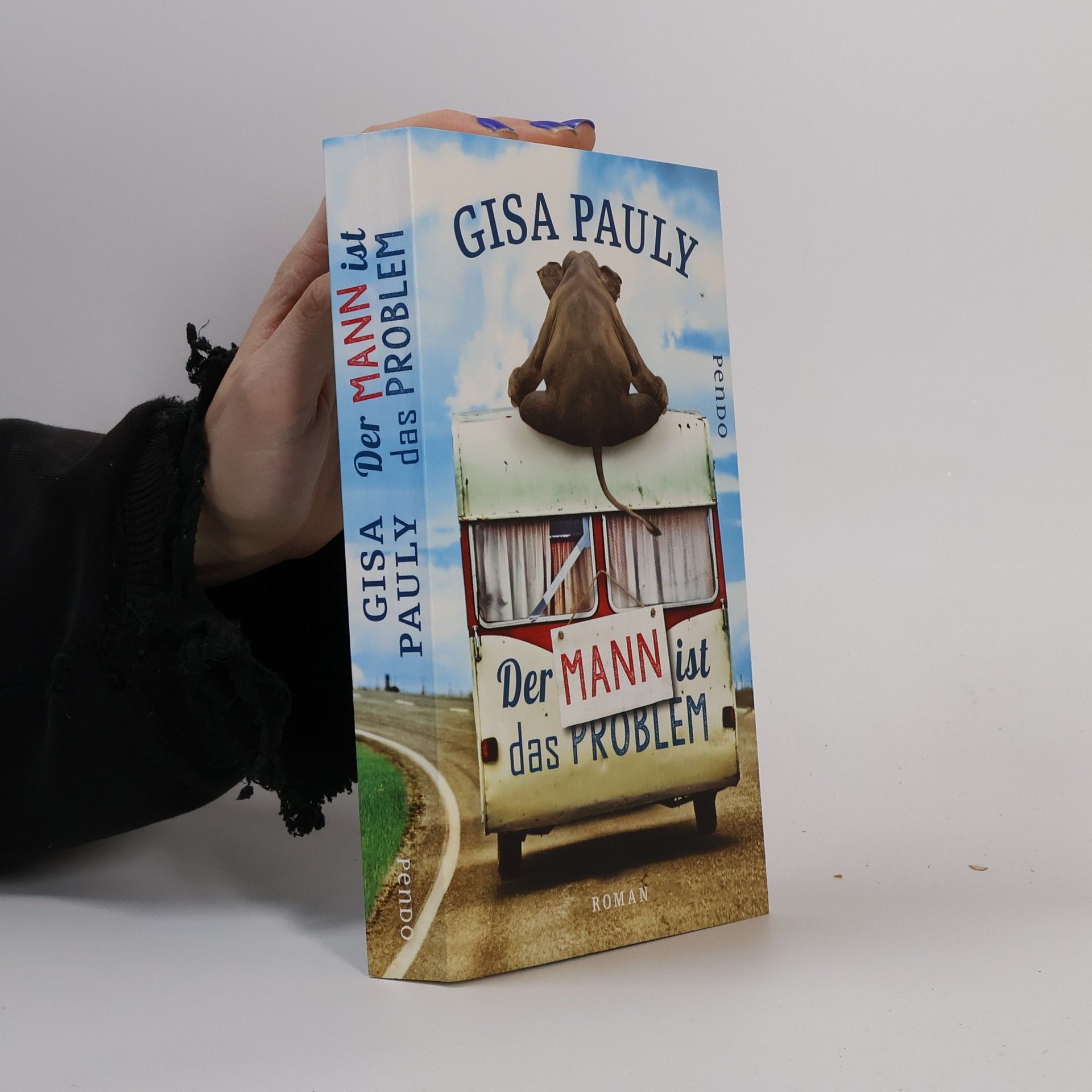 Gisa Pauly Der Mann ist das Problem