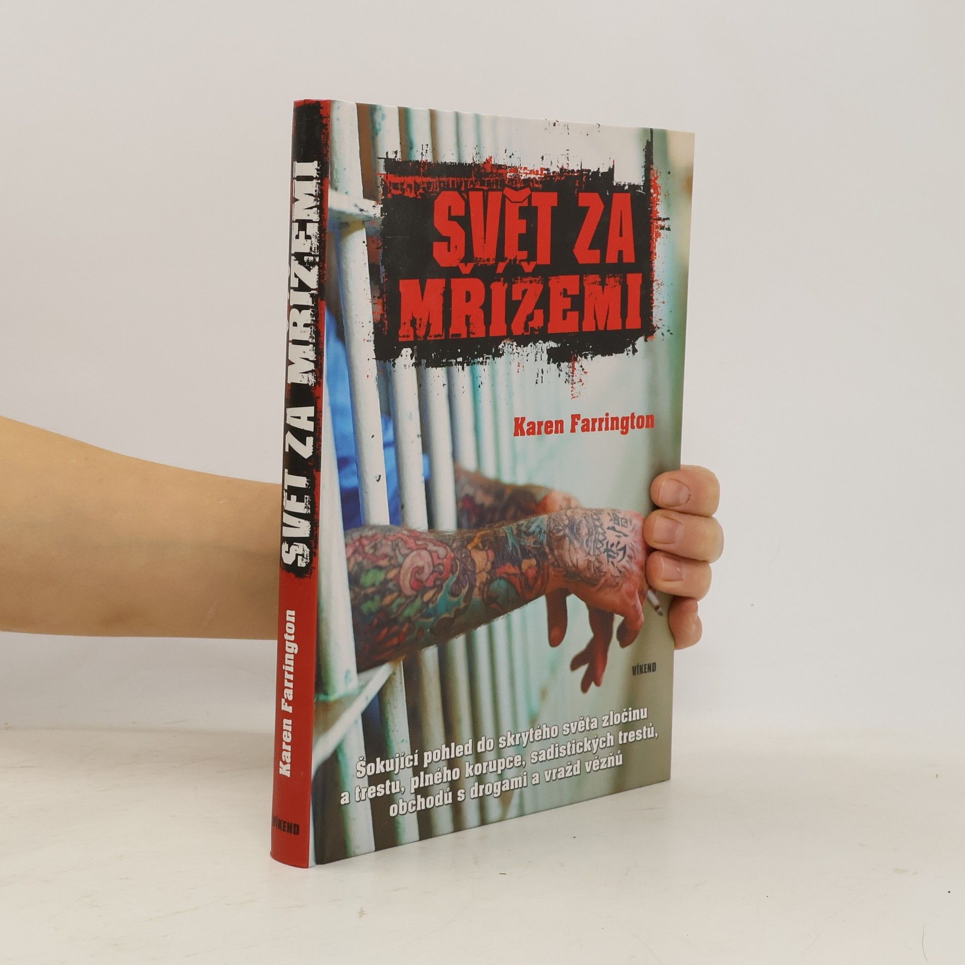 Karen Farrington Svět za mřížemi
