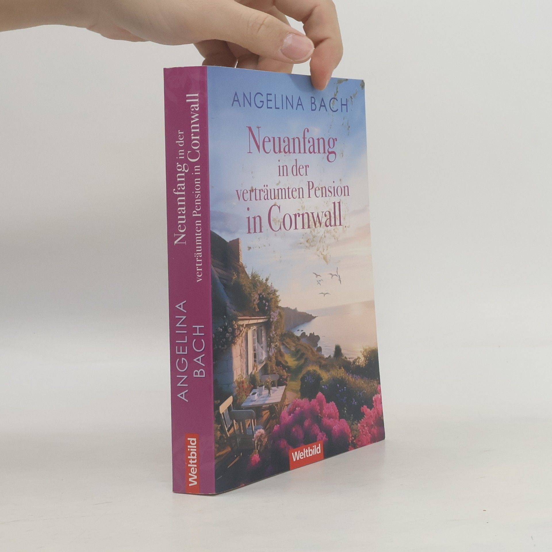 Angelina Bach Neuanfang in der verträumten Pension in Cornwall