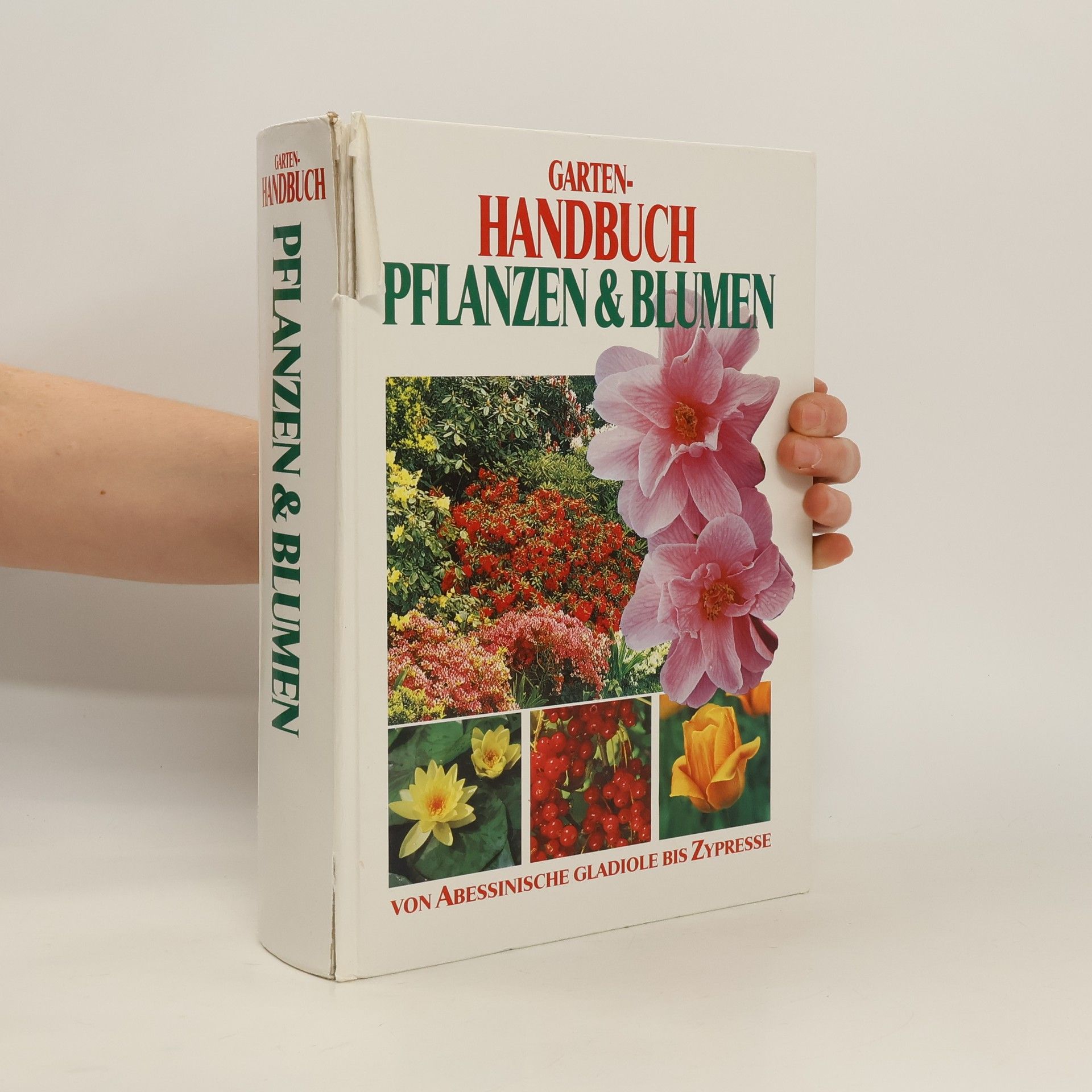 Autorenkollektiv Garten-Handbuch Pflanzen & Blumen