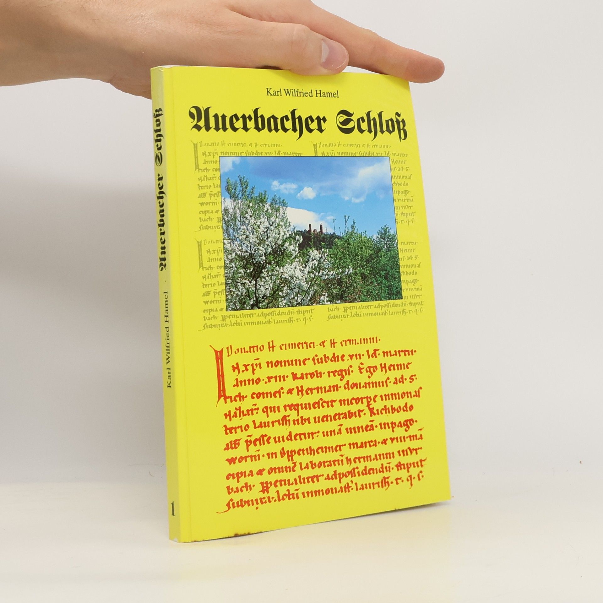 Auerbacher Schloß