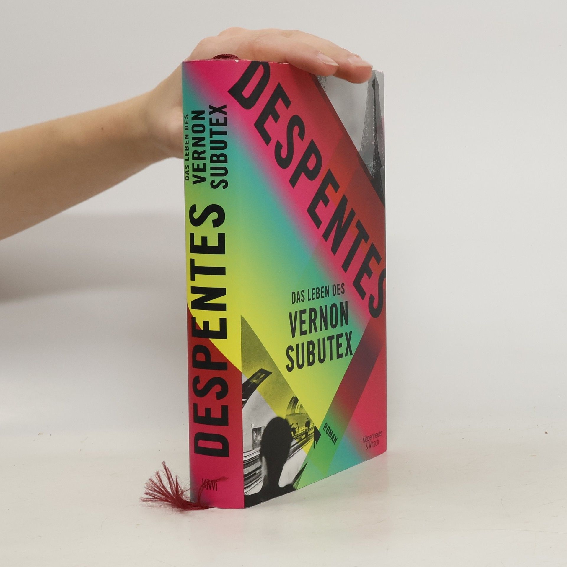 Virginie Despentes Das Leben des Vernon Subutex 1