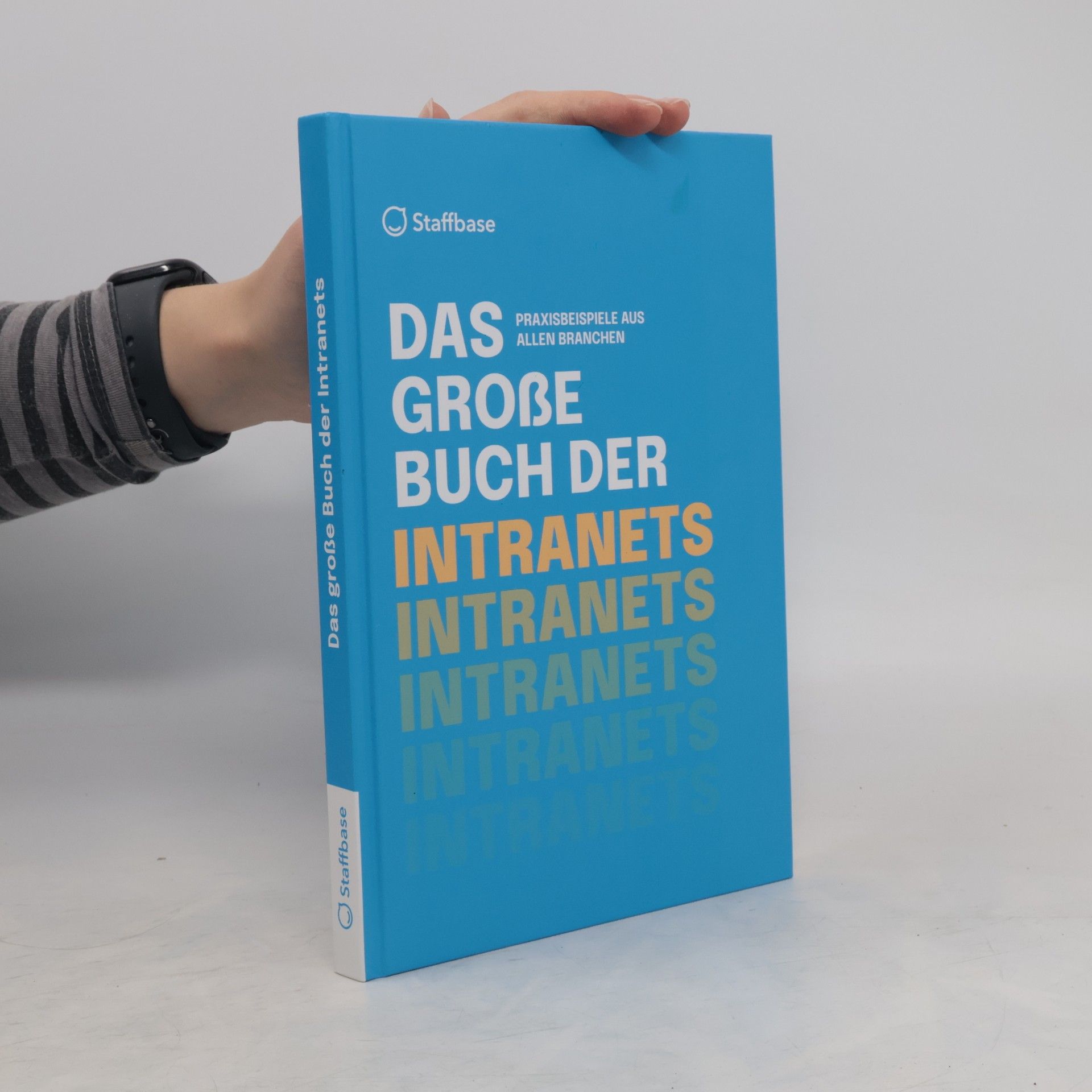 AA.VV. Das große Buch der Intranets