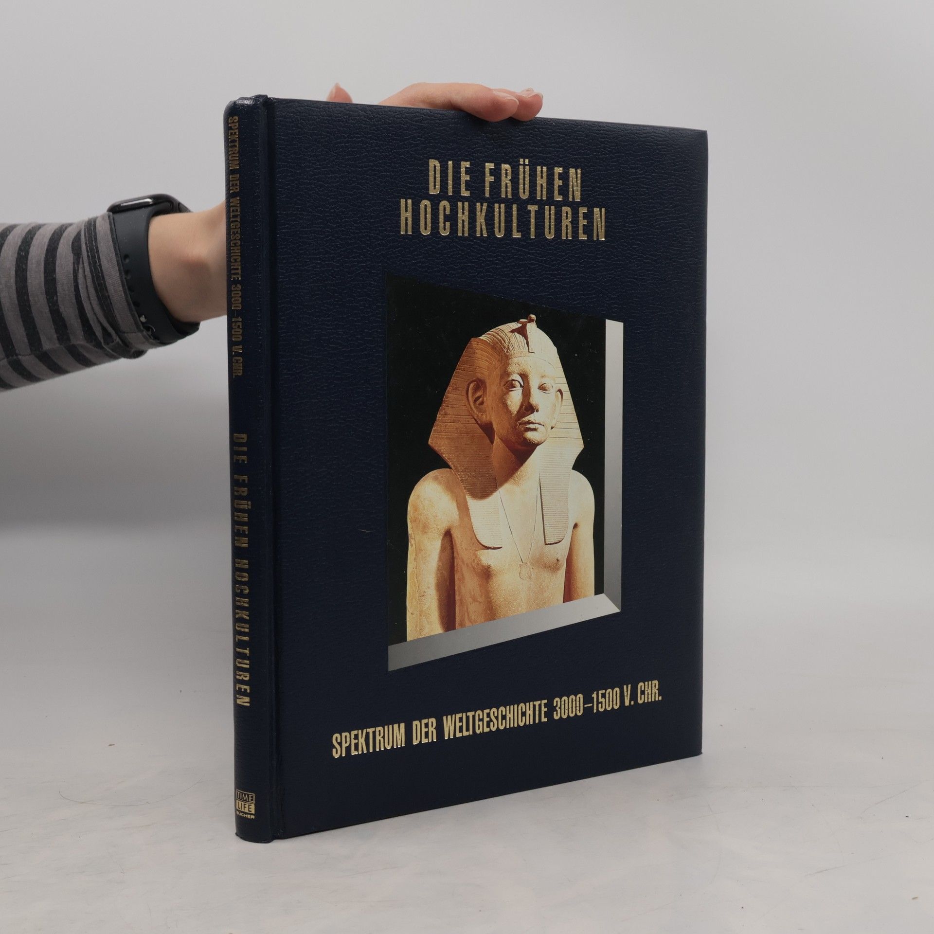 Die frühen Hochkulturen