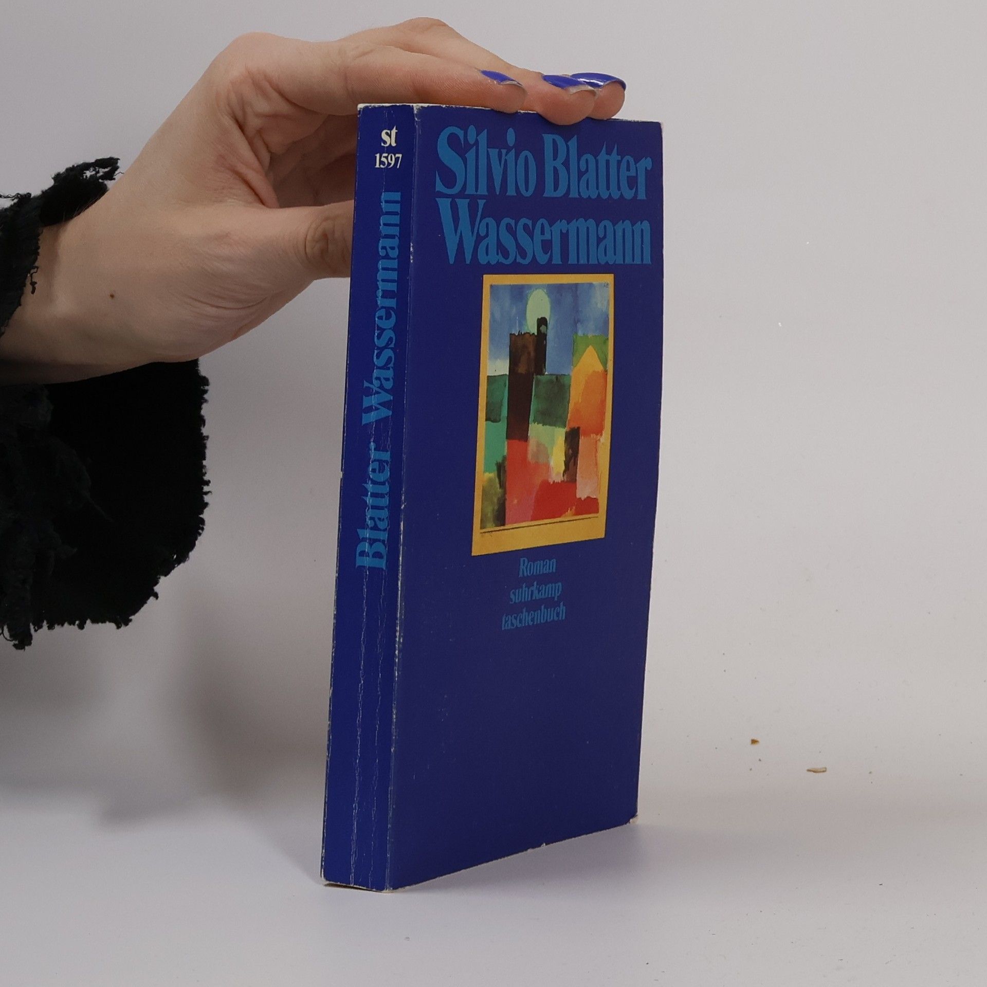 Silvio Blatter Suhrkamp Taschenbuch - 1597: Wassermann