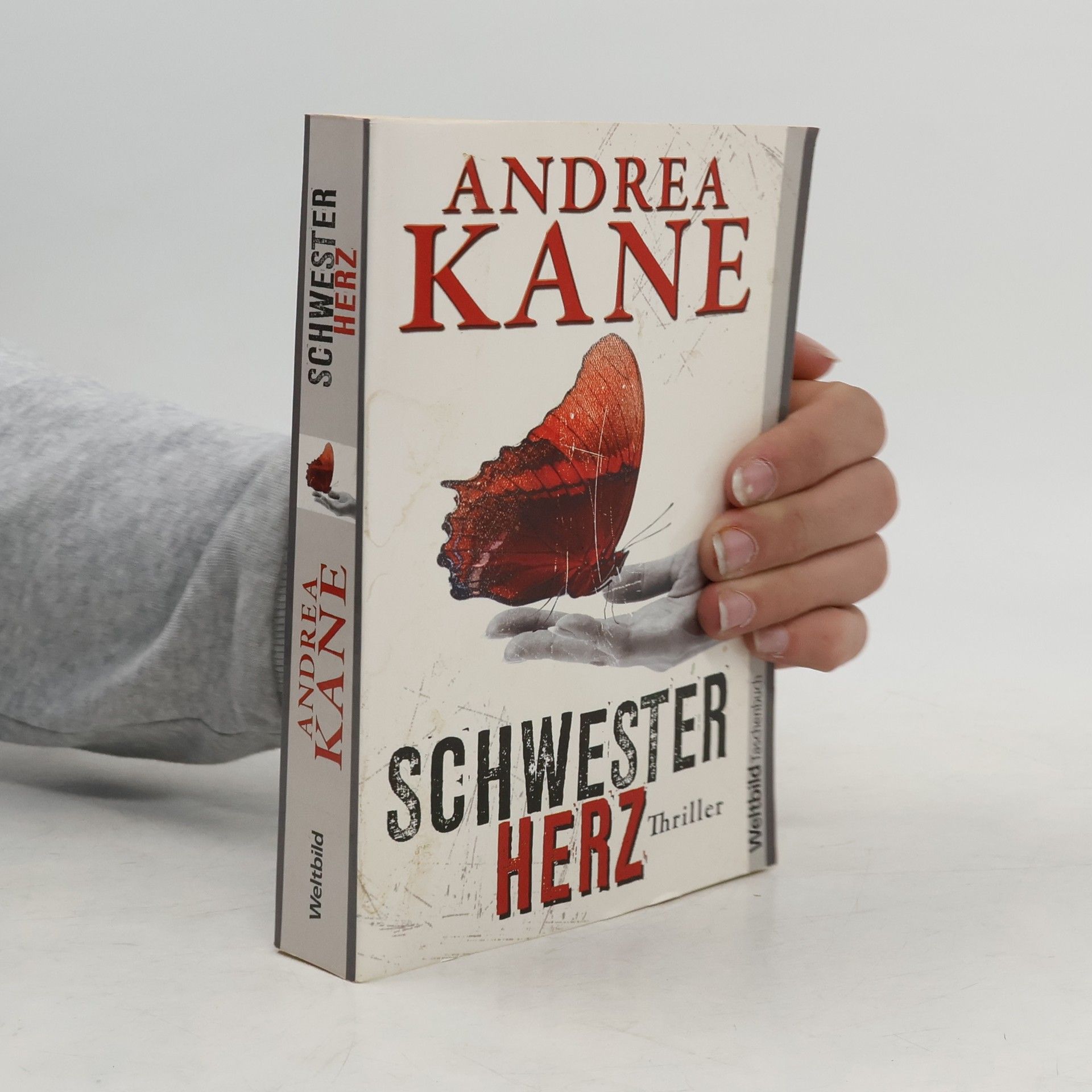 Andrea Kane Schwesterherz