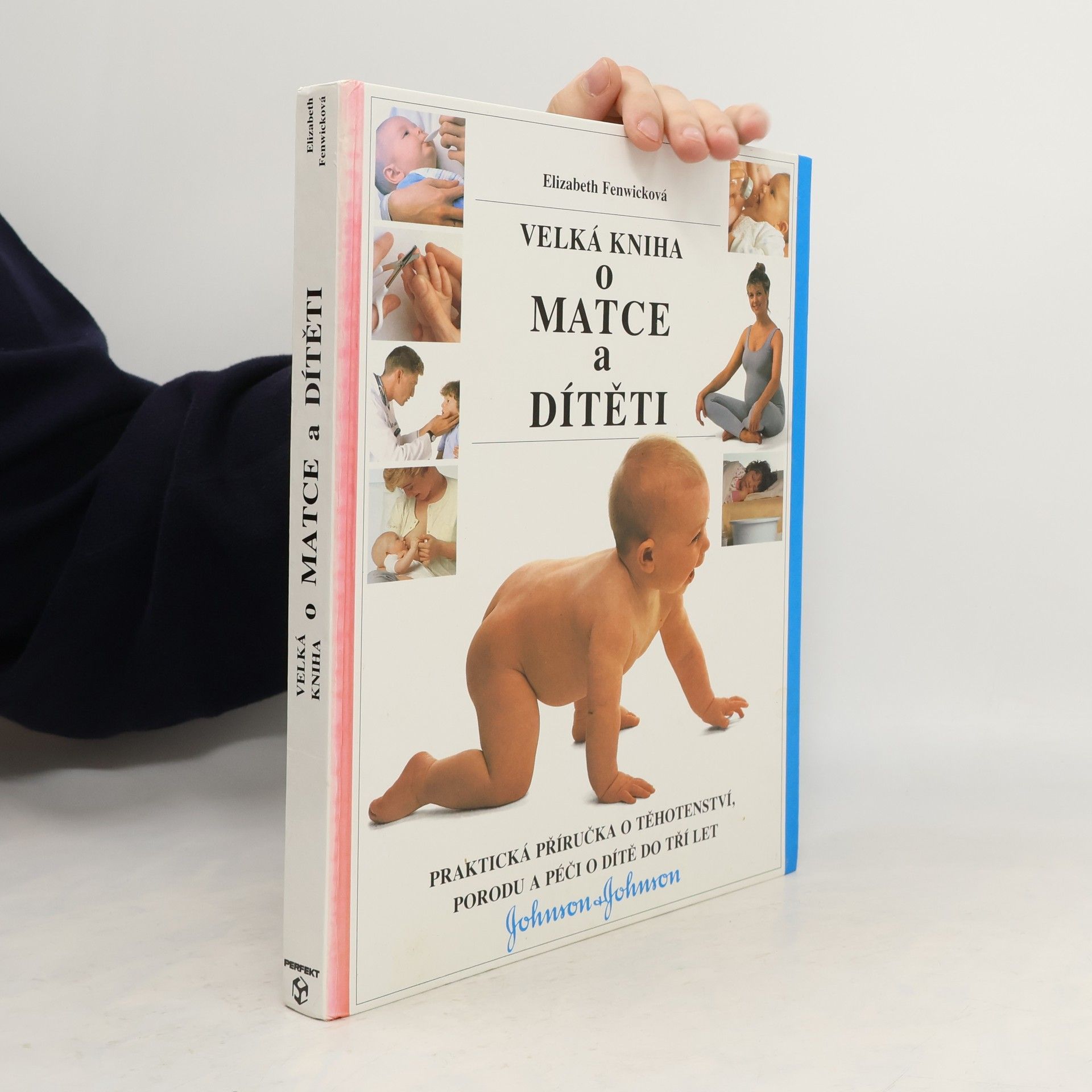 Elizabeth Fenwick Velká kniha o matce a dítěti