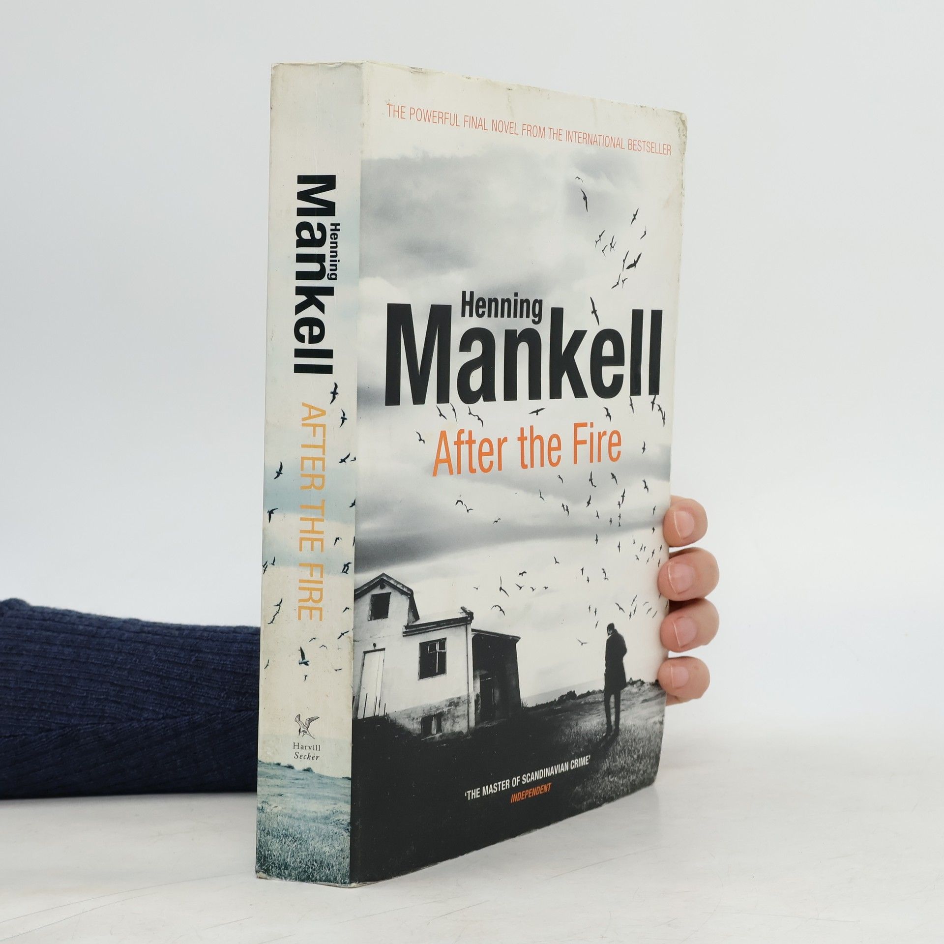 Henning Mankell After the Fire