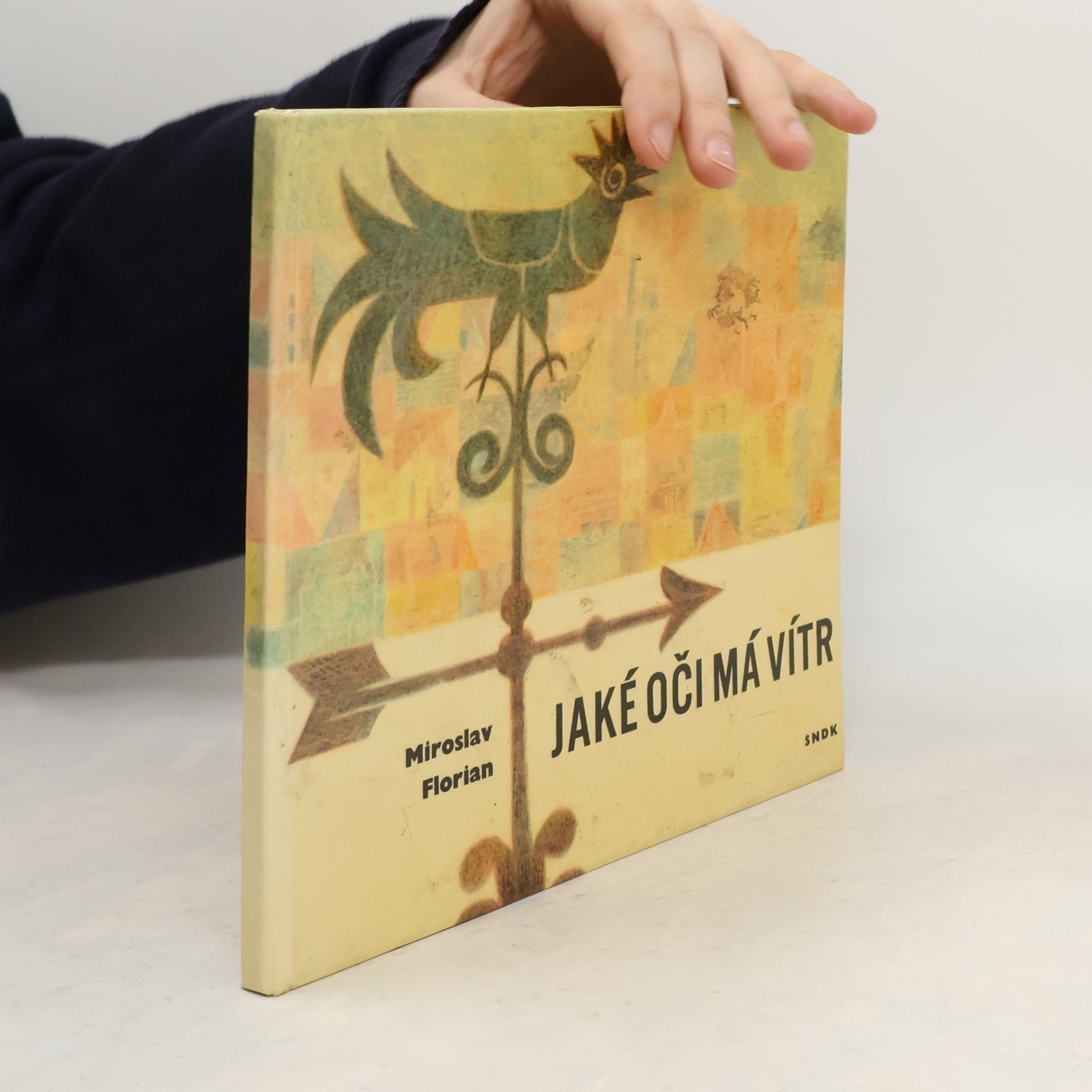 Miroslav Florian Jaké oči má vítr