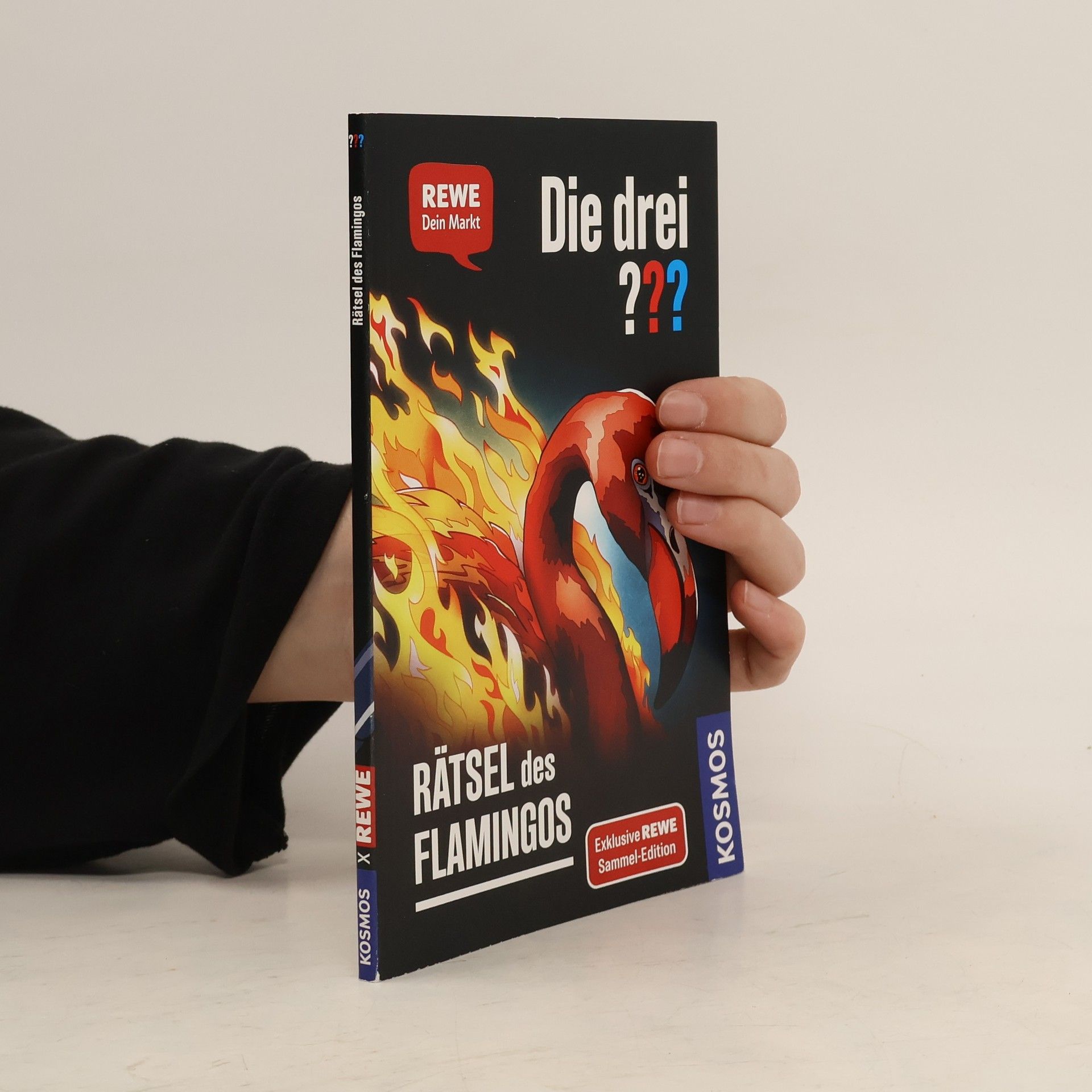 Andreas Ruch Die drei??? Rätsel des Flamingos