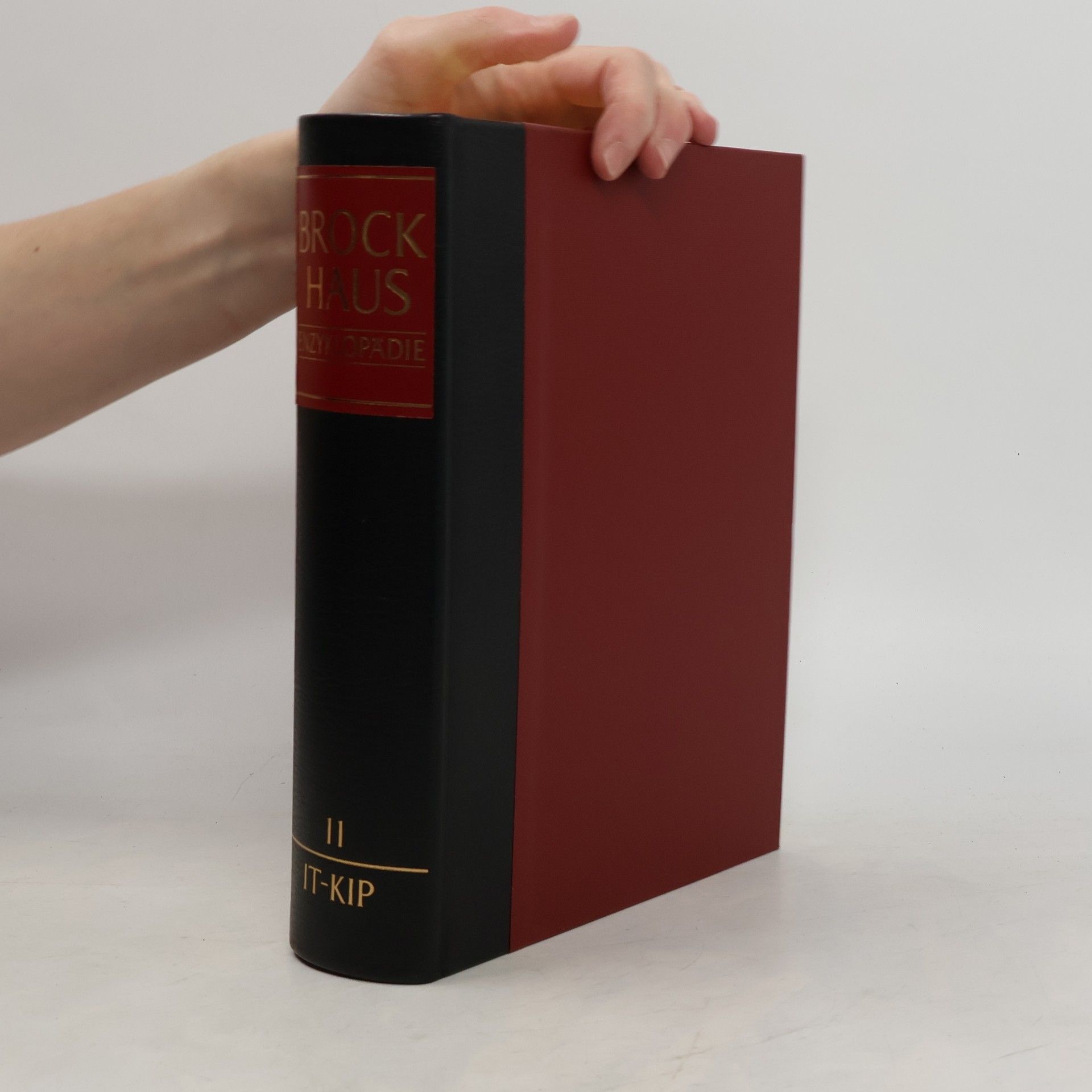 Various authors Brockhaus Enzyklopädie 11. It-Kip