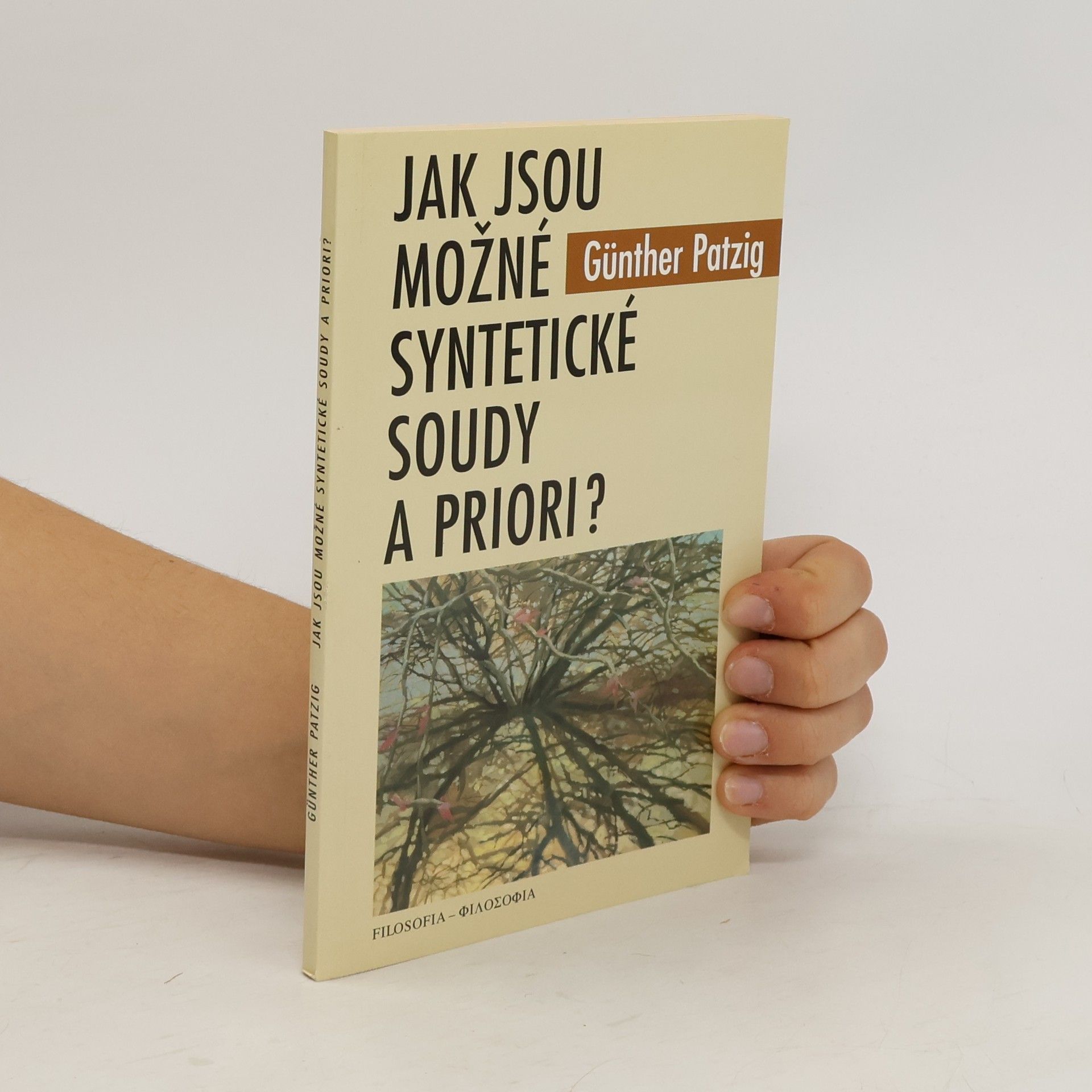 Günther Patzig Jak jsou možné syntetické soudy a priori?