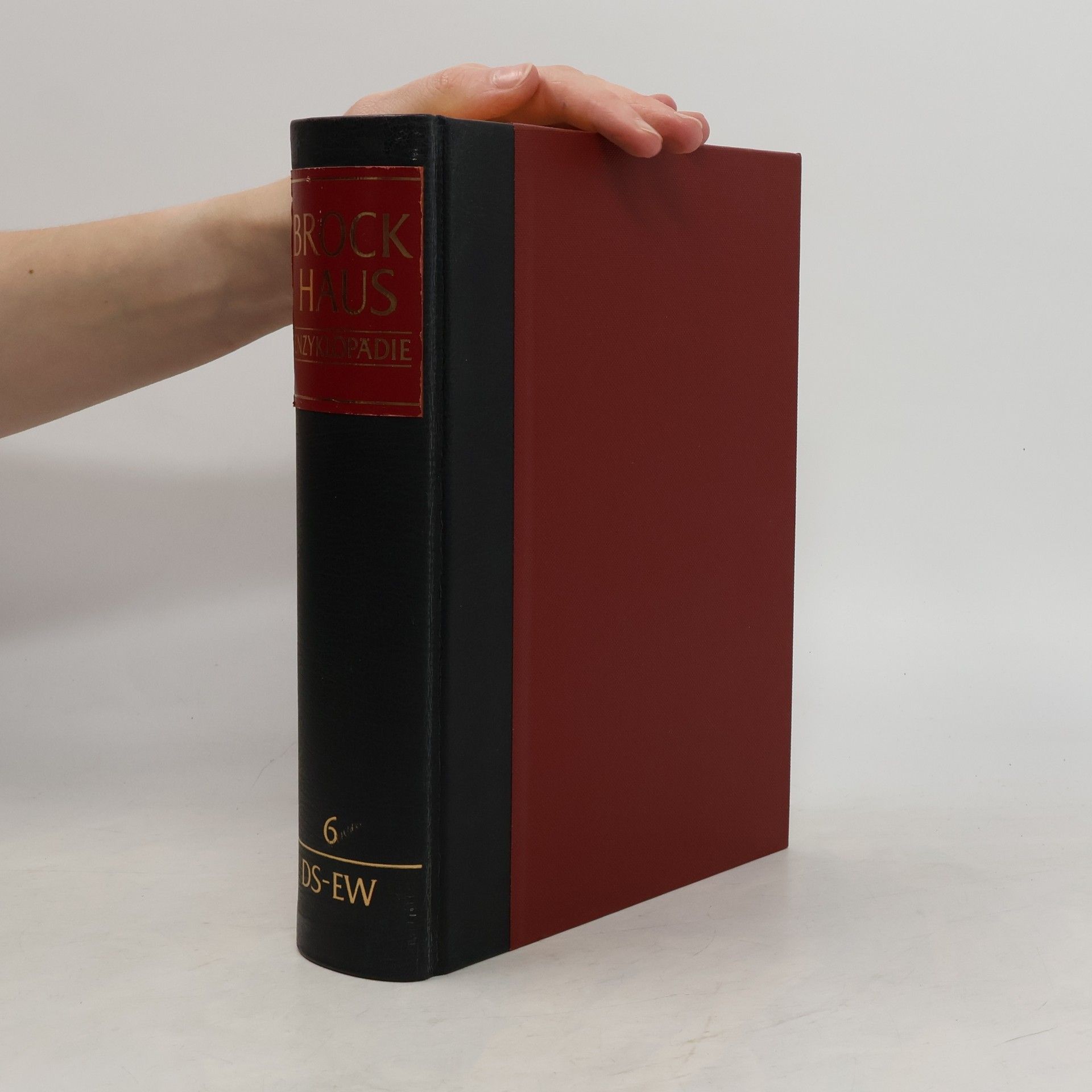 AA.VV. Brockhaus Enzyklopädie 6 (DS-EW)
