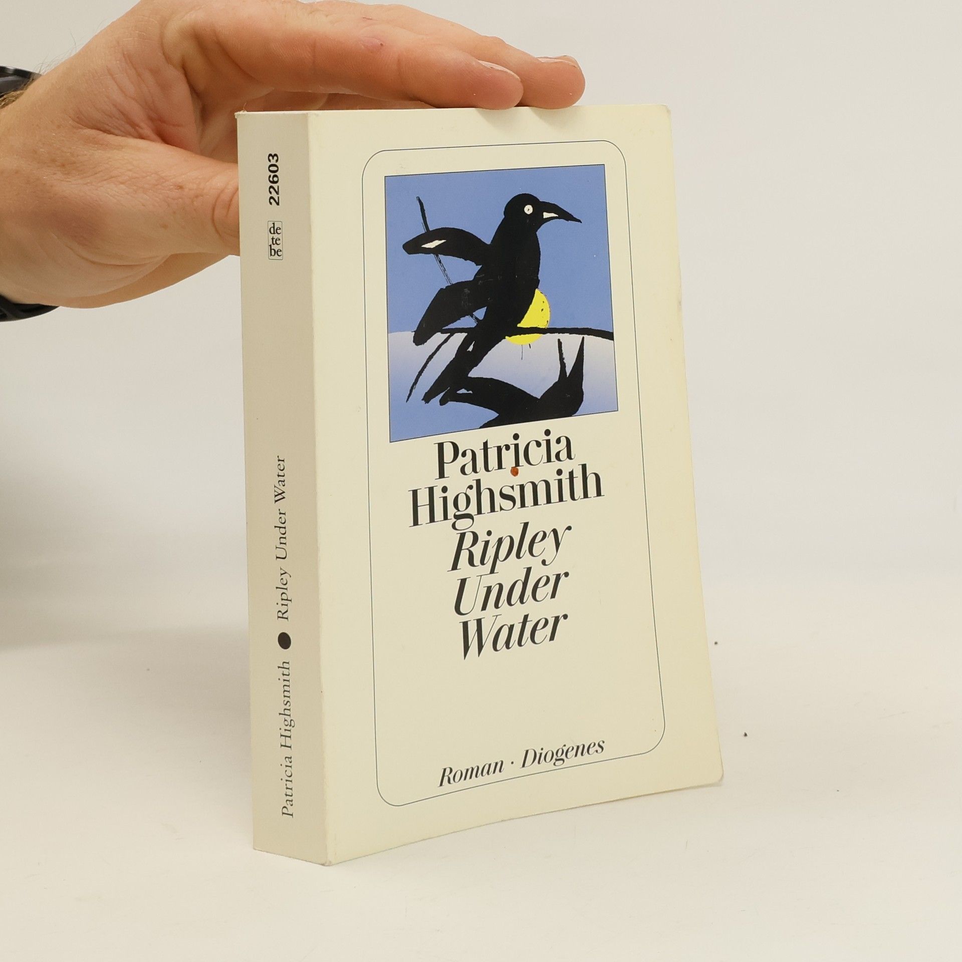 Patricia Highsmith Ripley Under Water