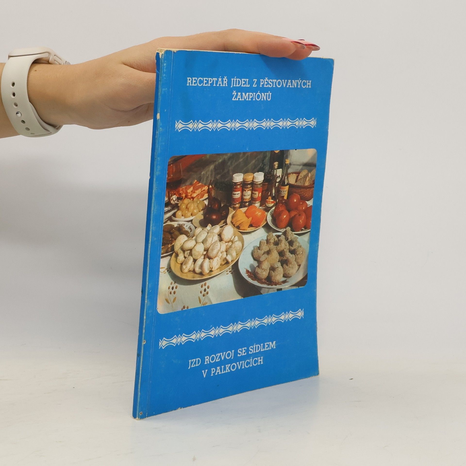 Kolektiv autorů Receptář jídel z pěstovaných žampiónů