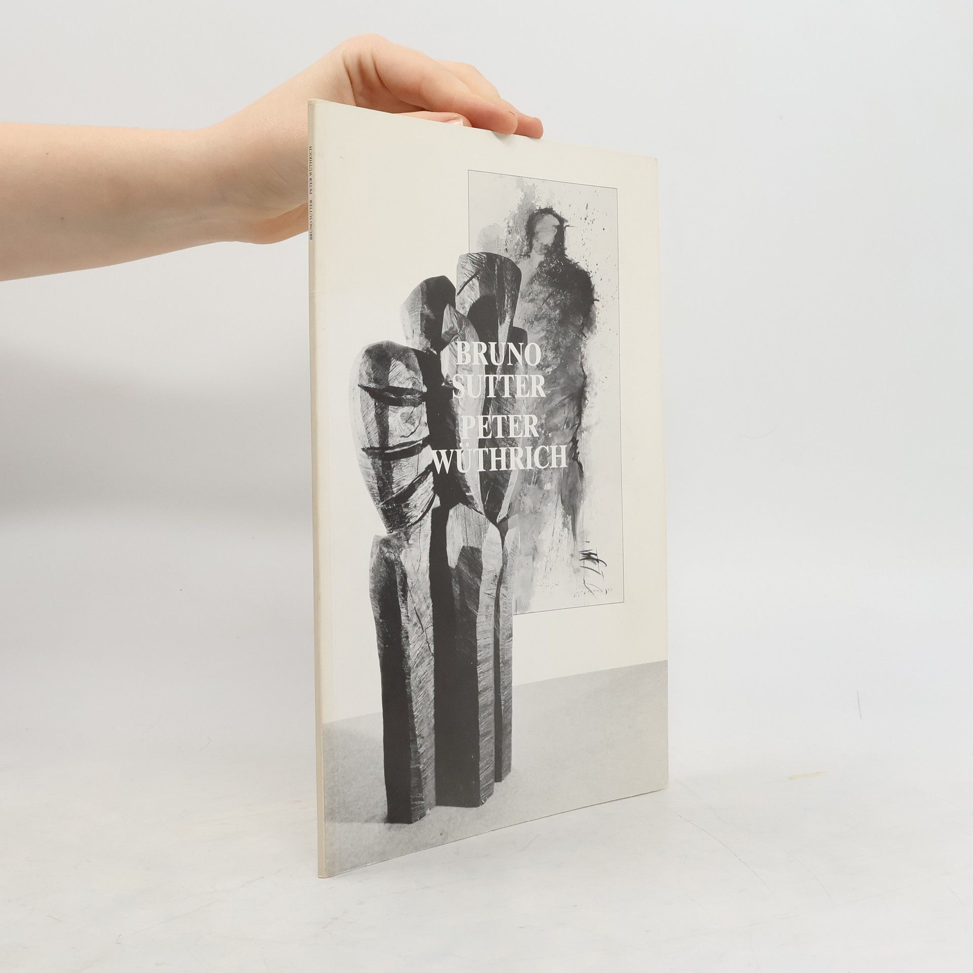 Auteurscollectief Bruno Sutter. Peter Wüthrich