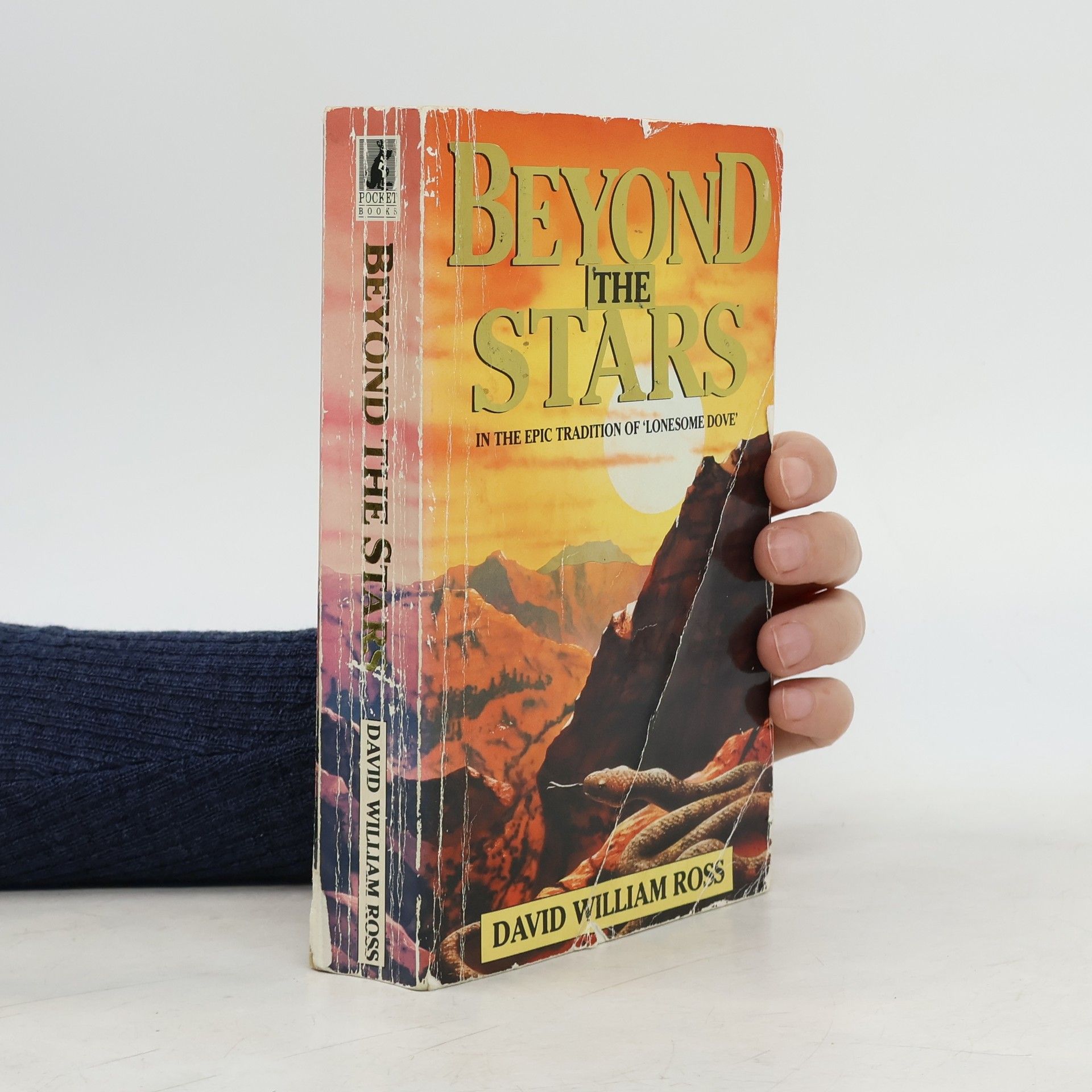 William David Ross Beyond the Stars