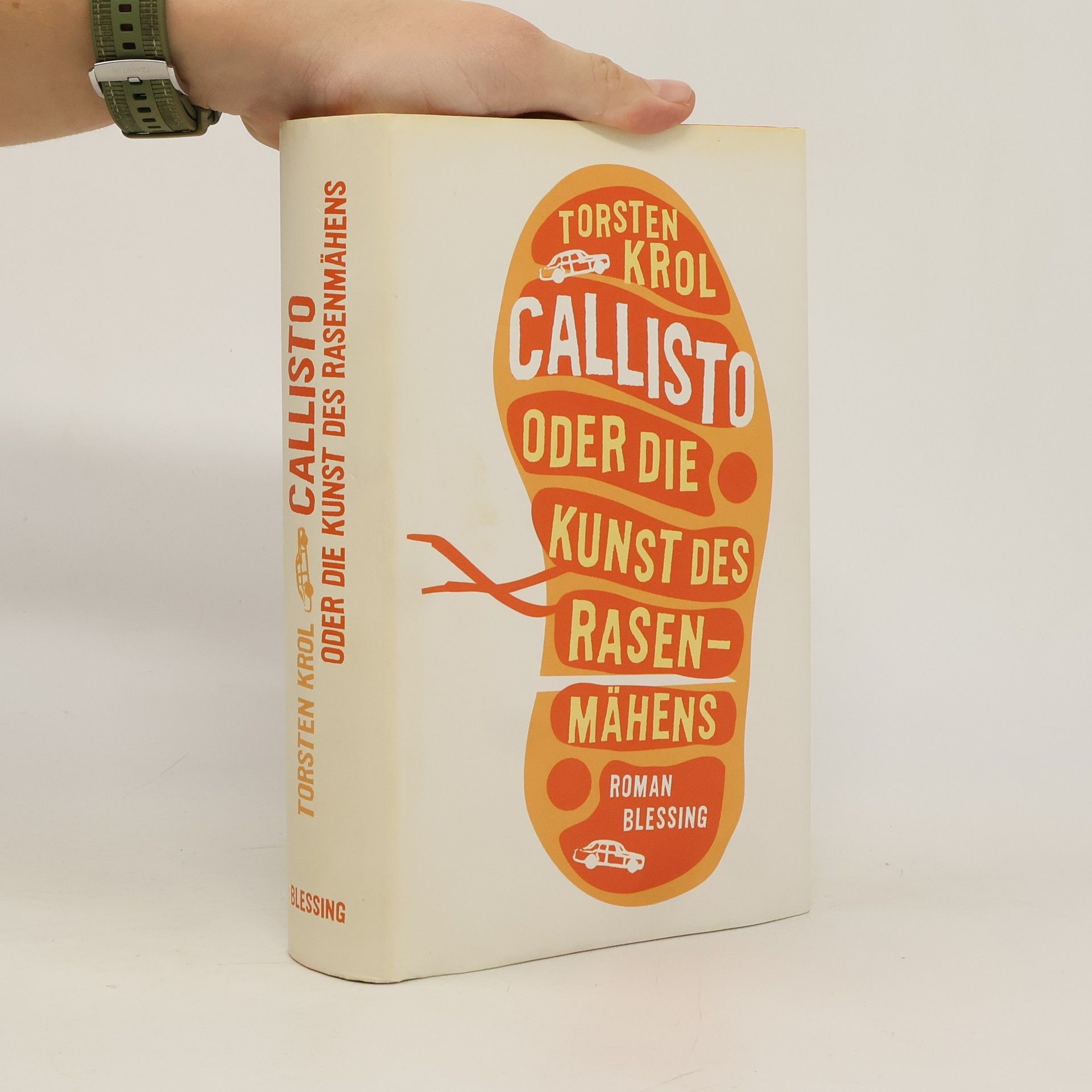 Torsten Krol Callisto oder die Kunst des Rasenmähens