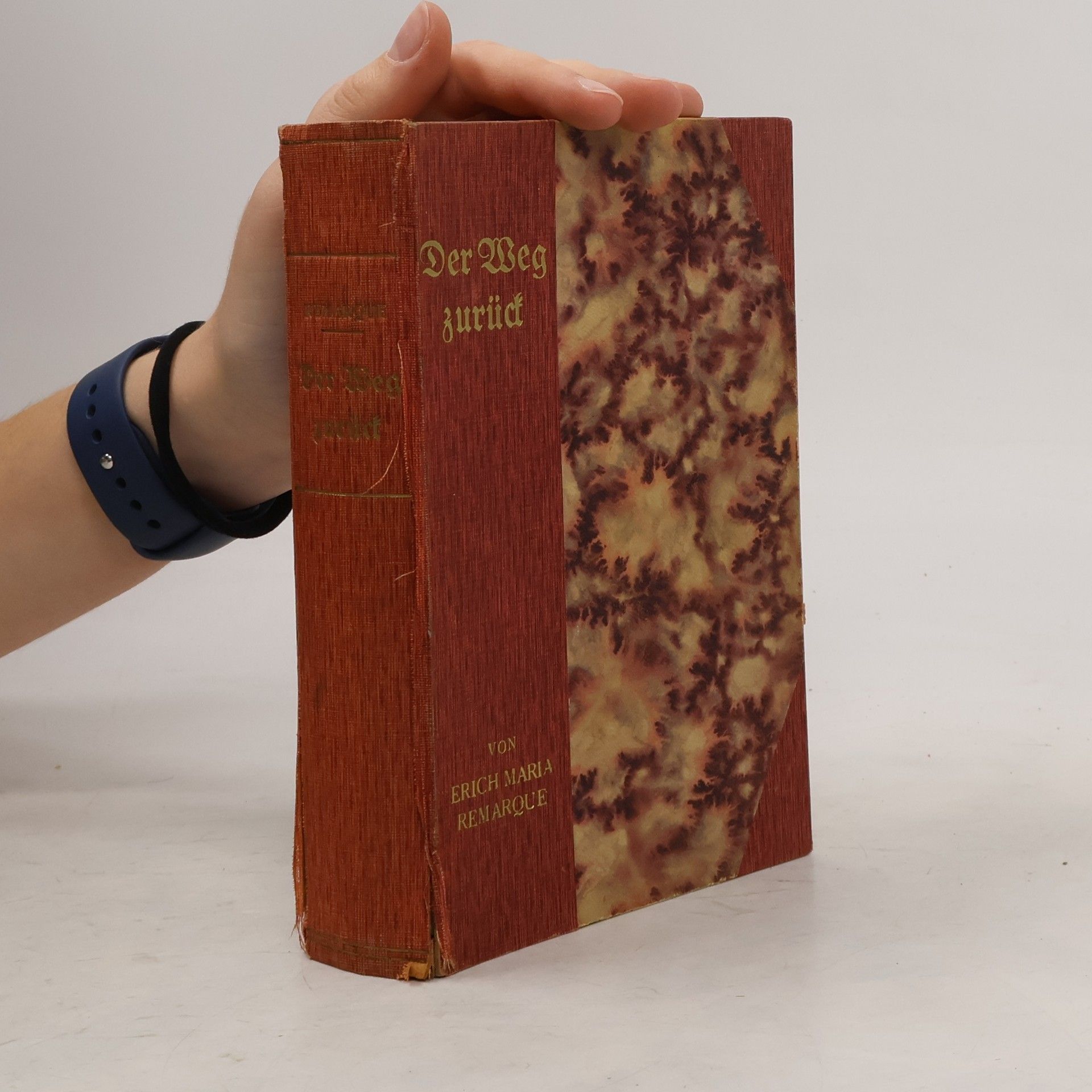 Erich Maria Remarque Der Weg zurück