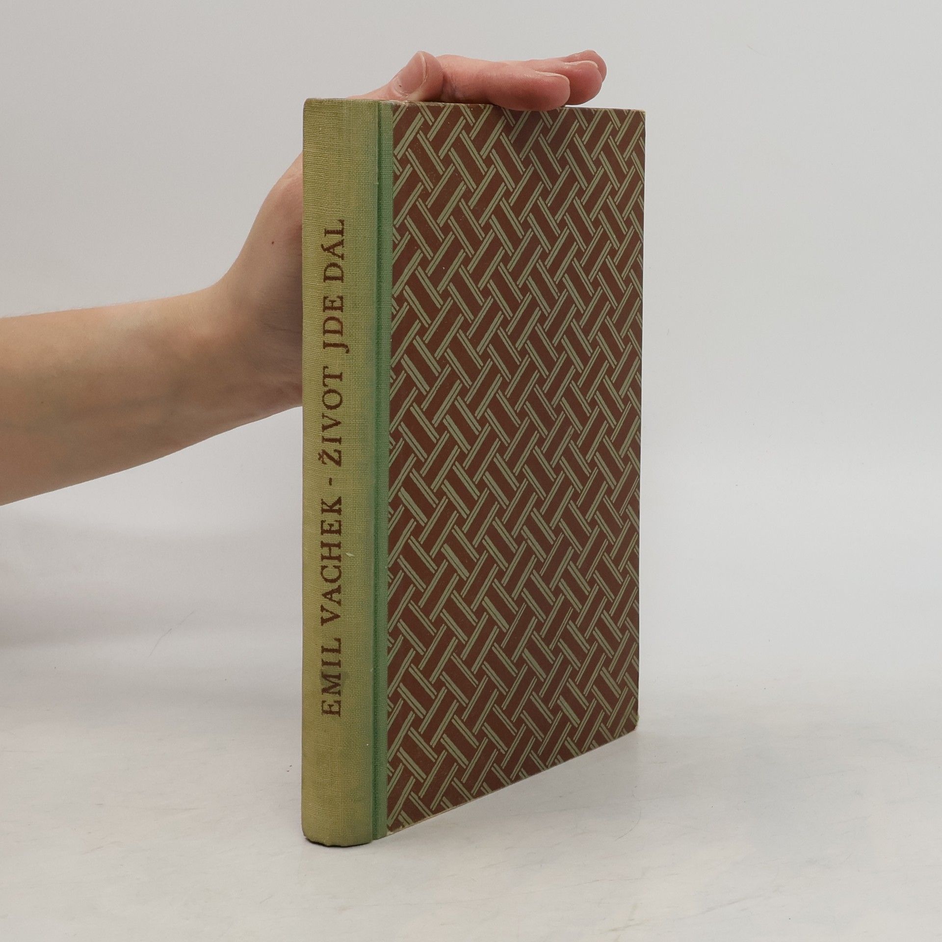 Emil Vachek Život jde dál