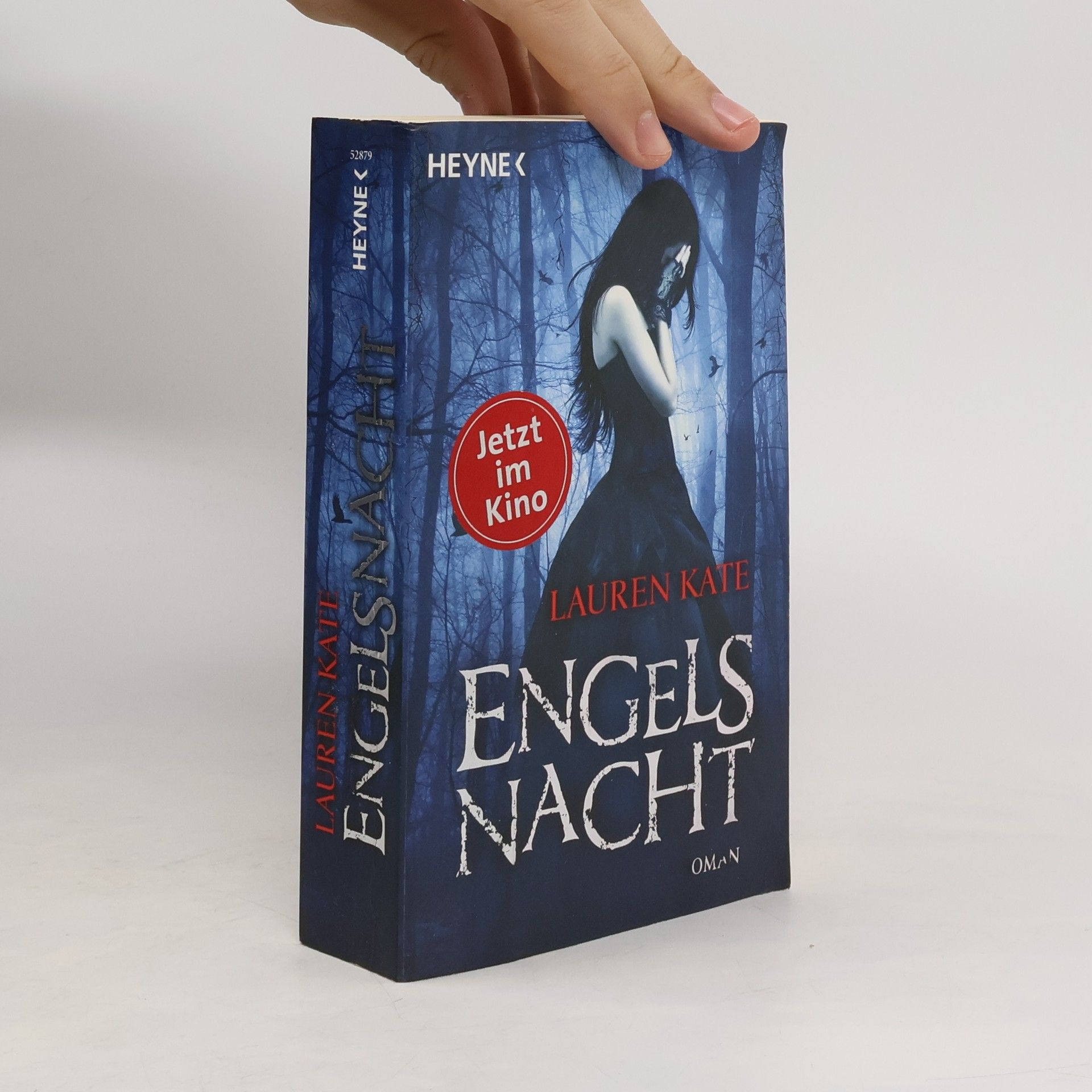 Lauren Kate Engels Nacht