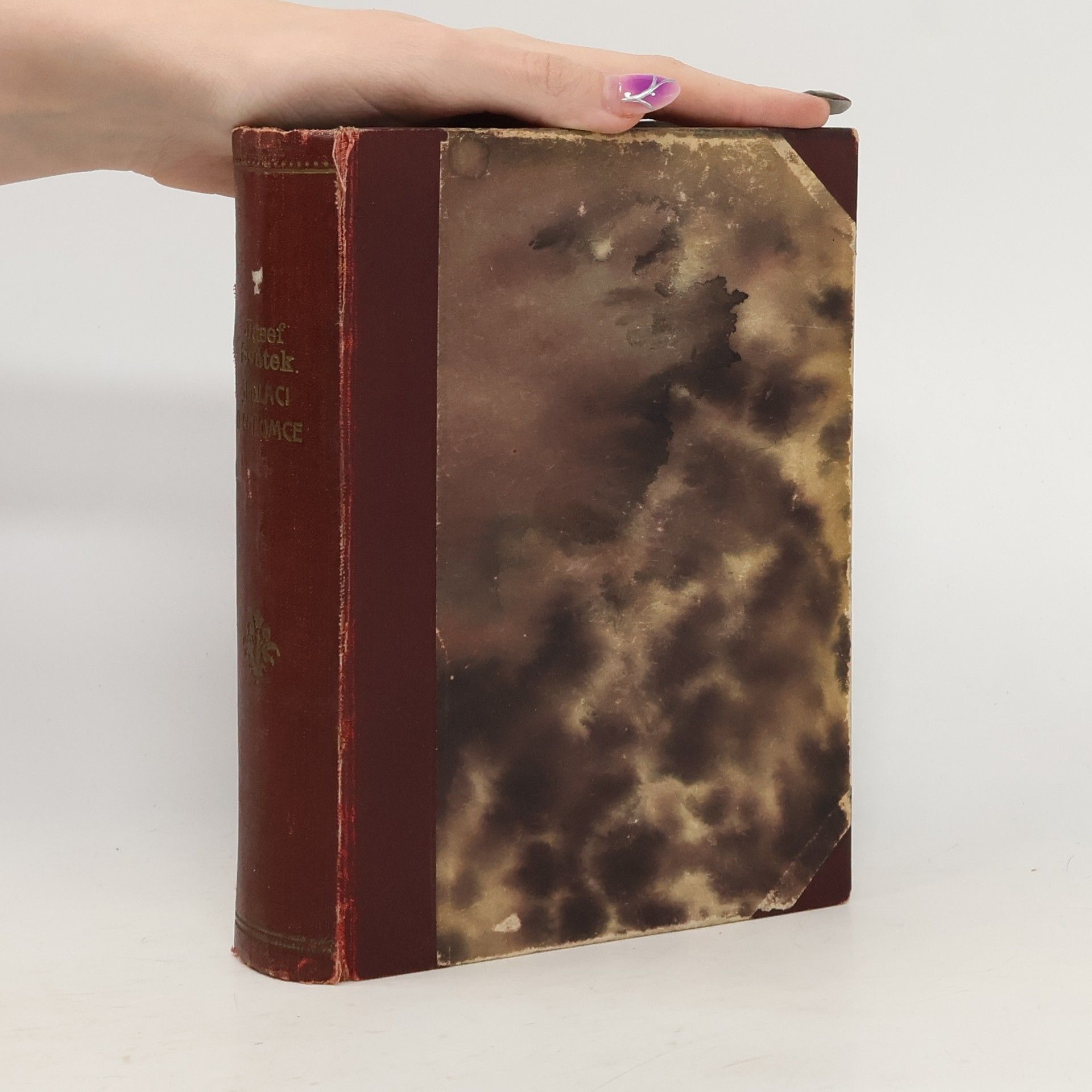 Josef Svátek Sedláci u Chlumce