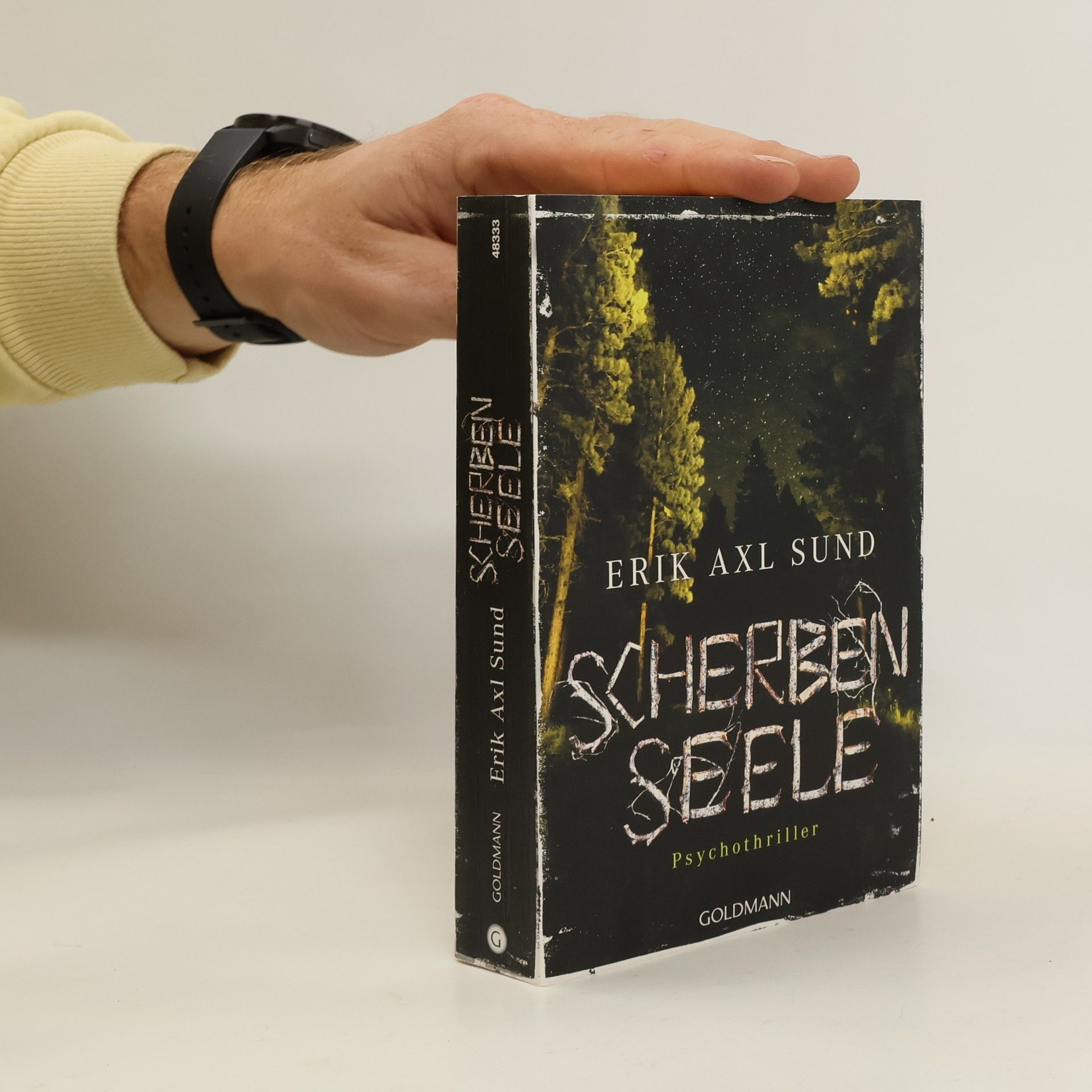 Erik Axl Sund Scherbenseele