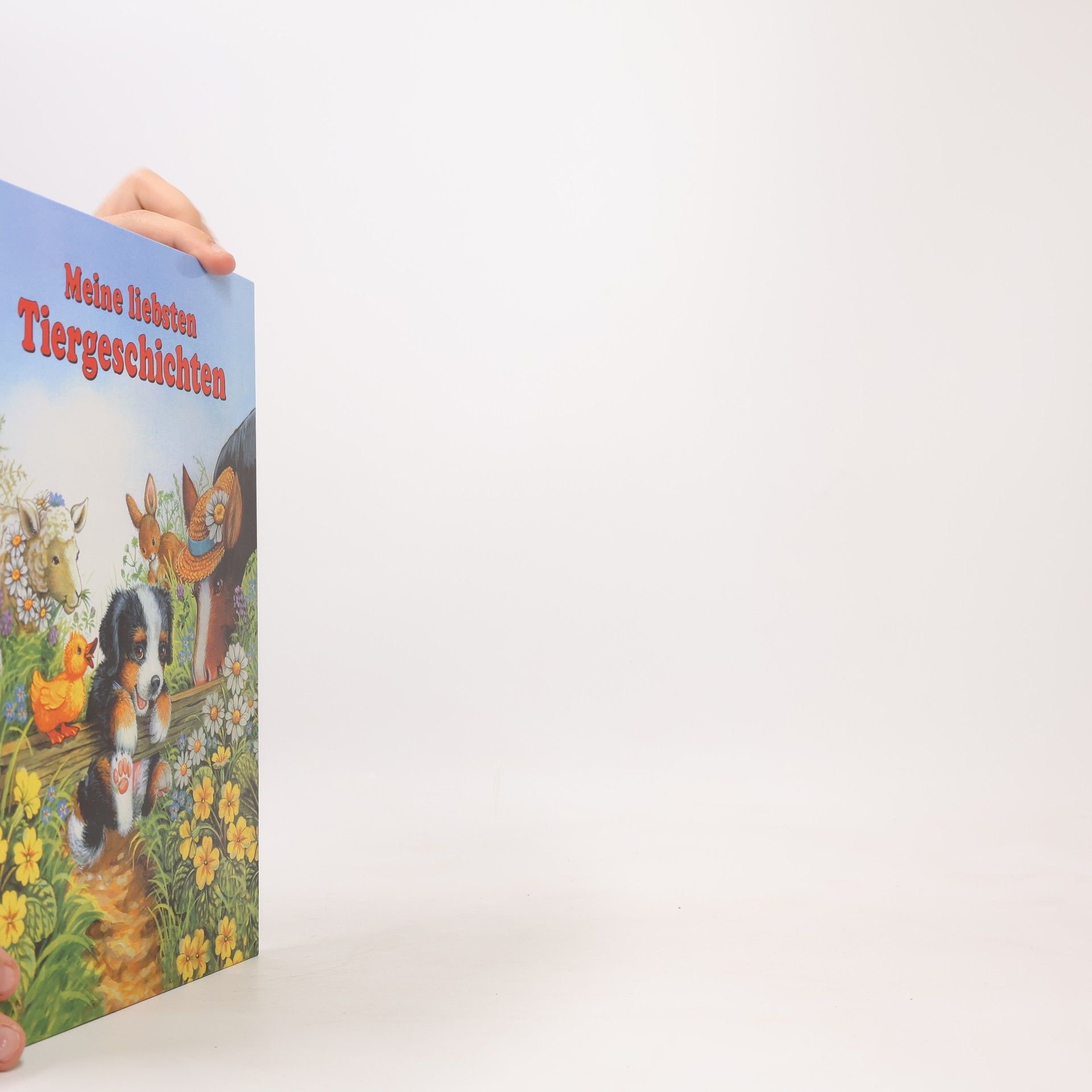 Autorenkollektiv Meine liebsten Tiergeschichten